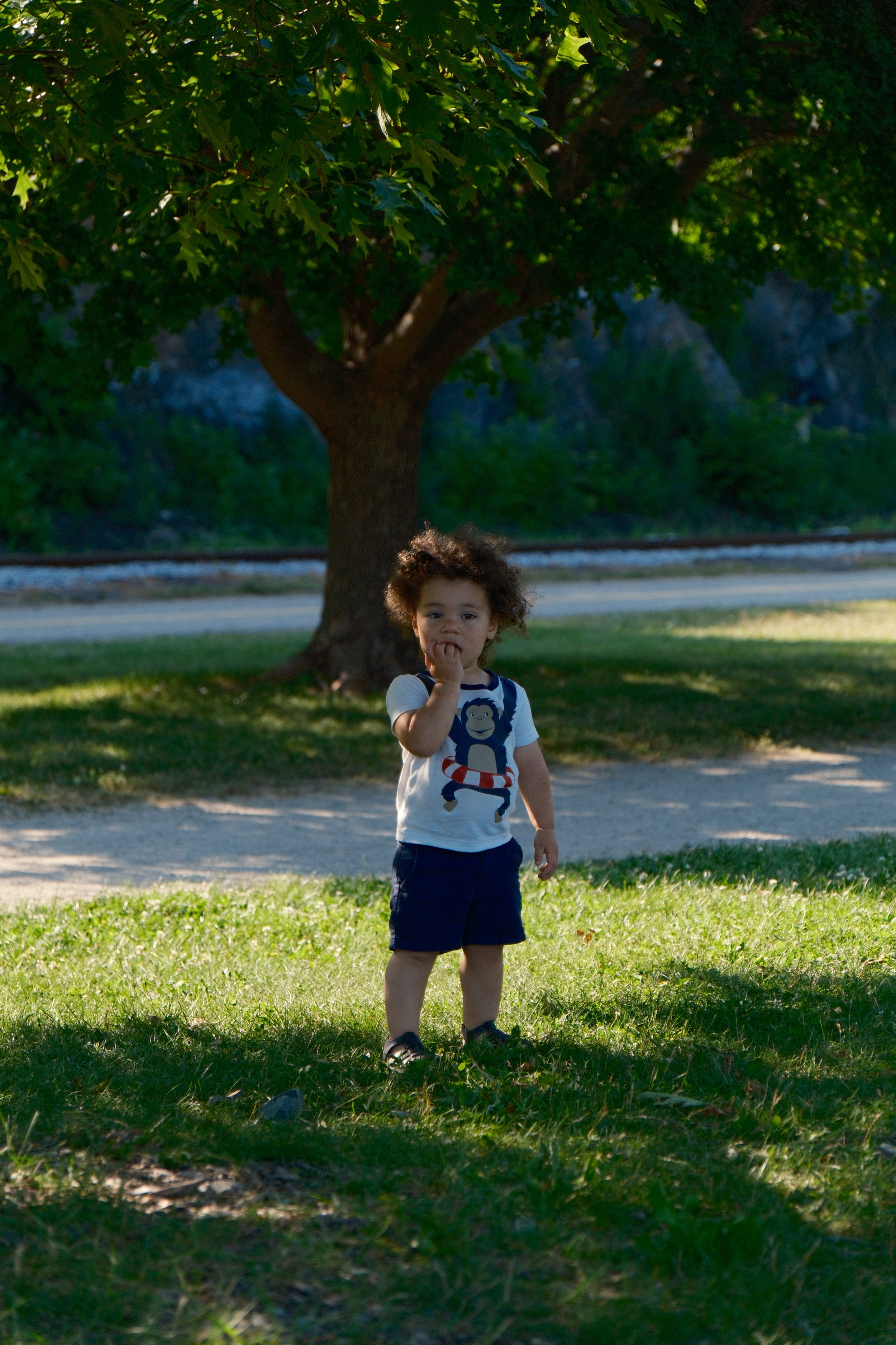 Young child with curly hair standing on grass near a large tree, dressed in a cartoon monkey t-shirt and shorts, with sunlight filtering through the leaves.