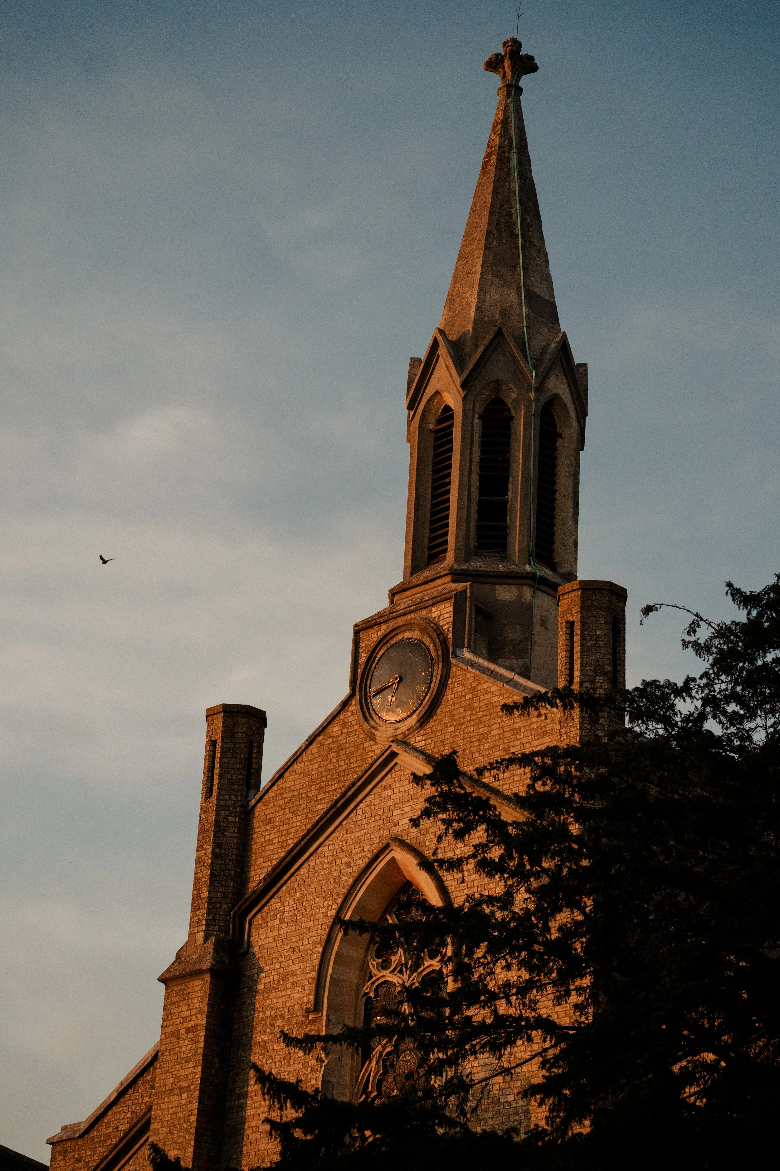 A brick church steeple with a clock, illuminated by warm light against a blue evening sky, with a bird flying nearby and tree branches at the bottom.