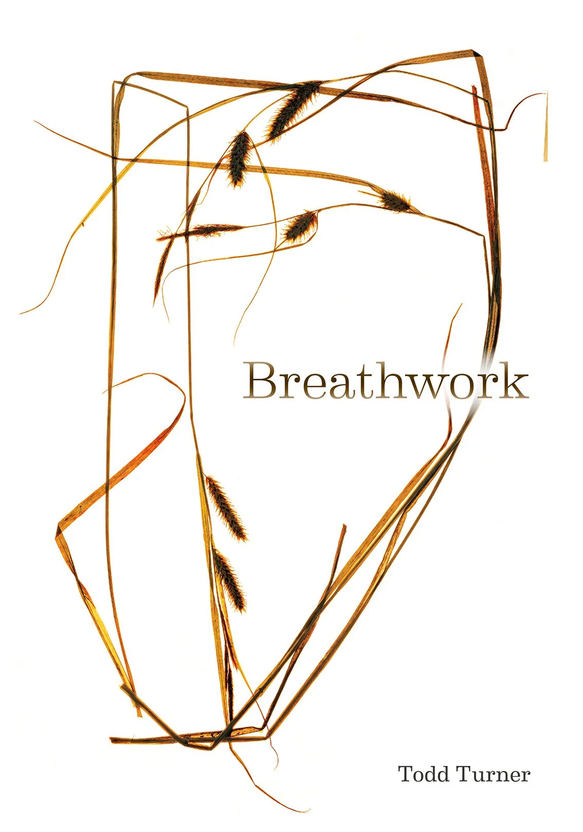 Book cover titled 'Breathework' by Todd Turner featuring dried grass and wheat stalks on a white background.
