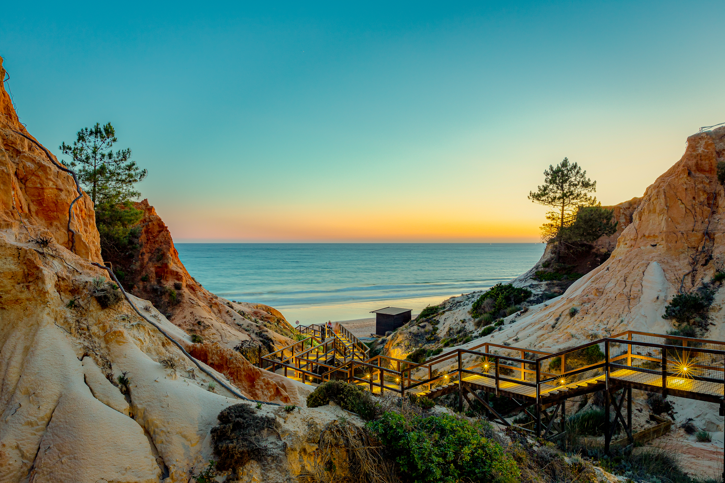 shutterstock_2410336519-TRIM.png
