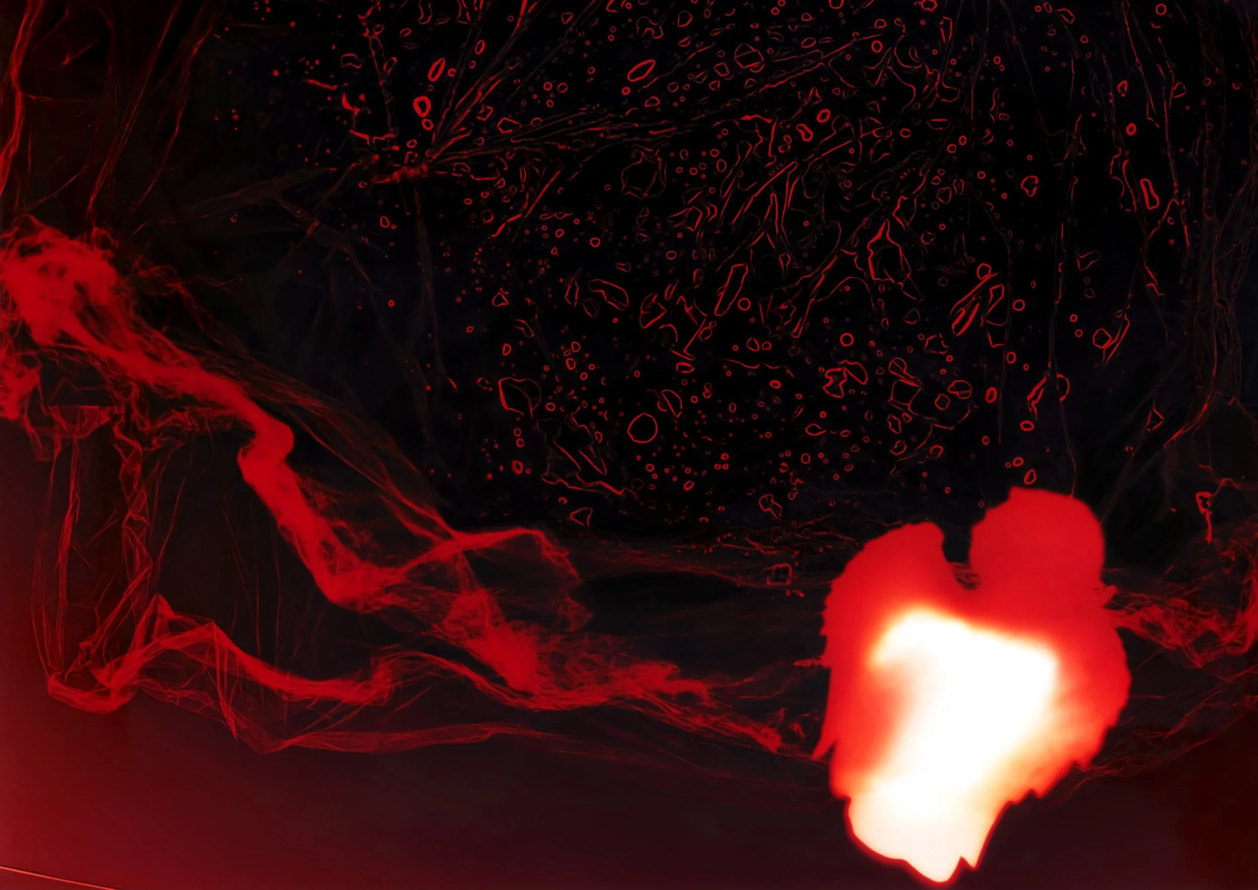 Fallen Angel (2025) - A photogram commission for Pike & Space Africa's NTS show 