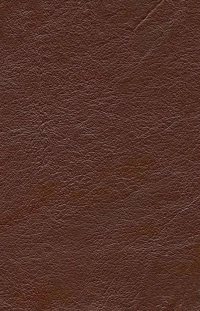 leather.jpg