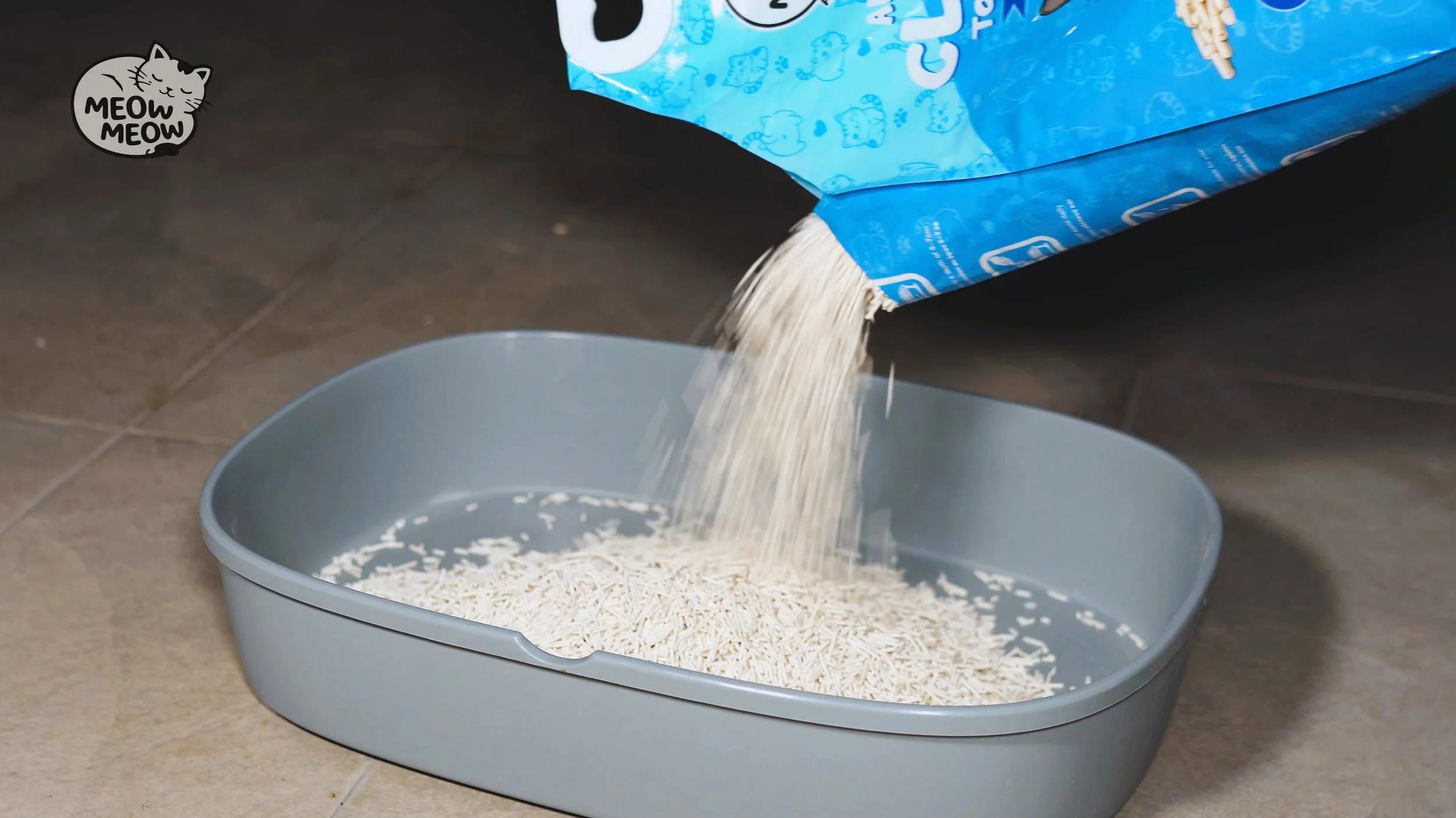 What Happens When Cat Litter Creates Dust?