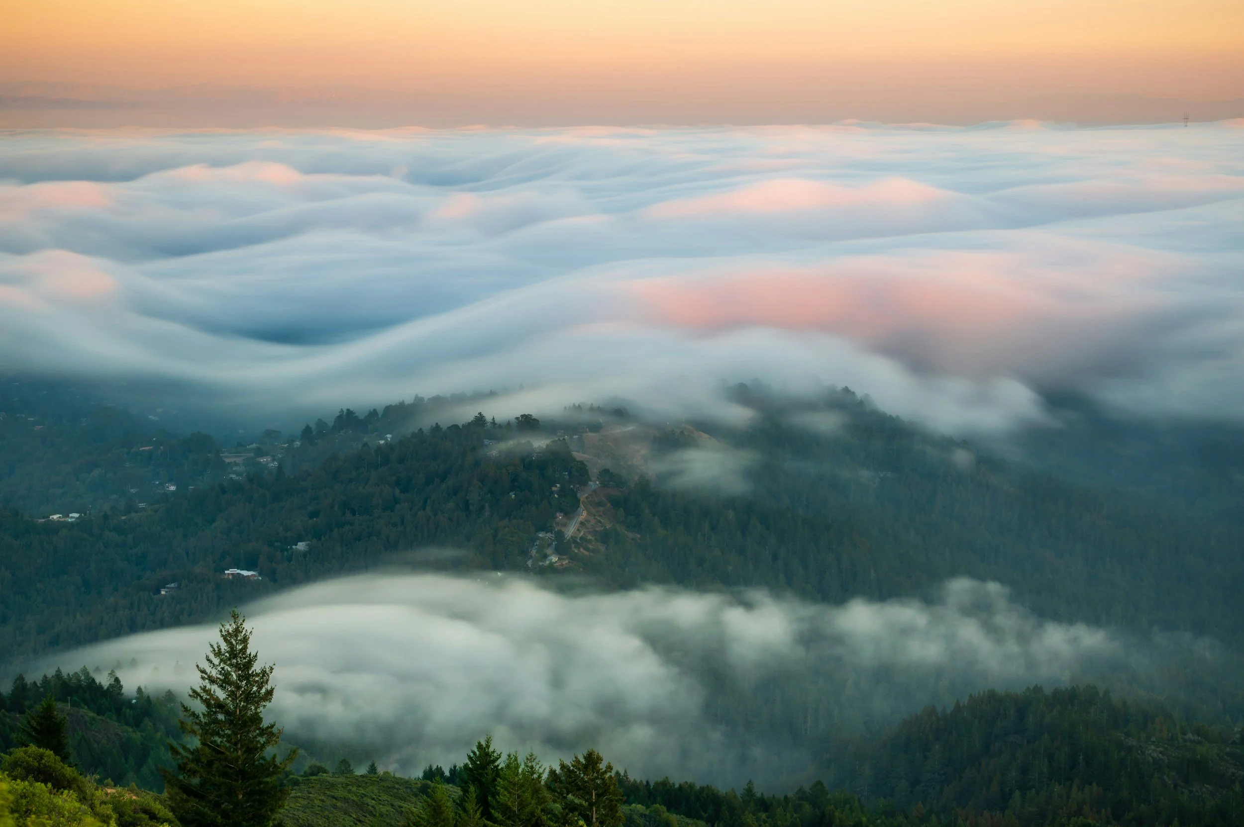 Forest-covered hills emerging through layers of cloud at sunset.