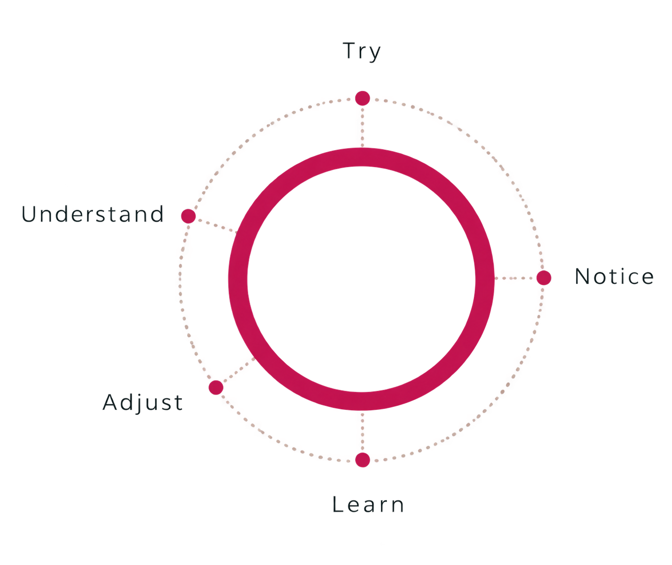 Optimise cycle showing five stages: Try, Notice, Learn, Adjust and Understand.