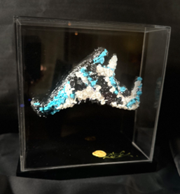 Vitrine 5.png