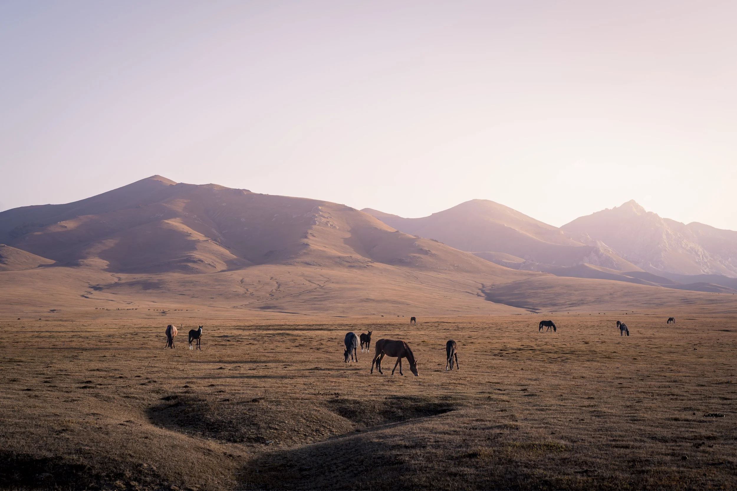 The Valley of Horses-9599.jpg