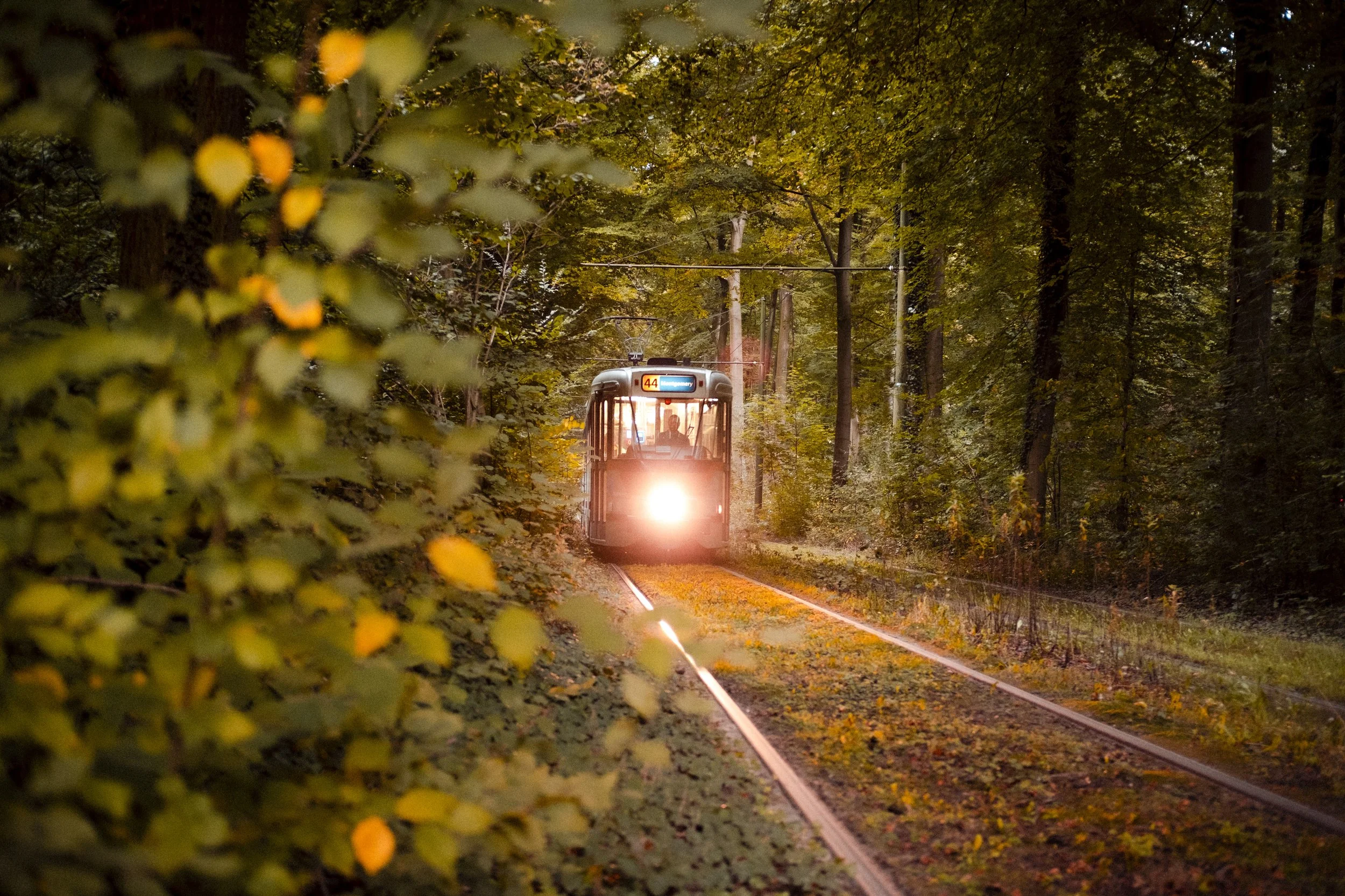 16. Tram44.jpg