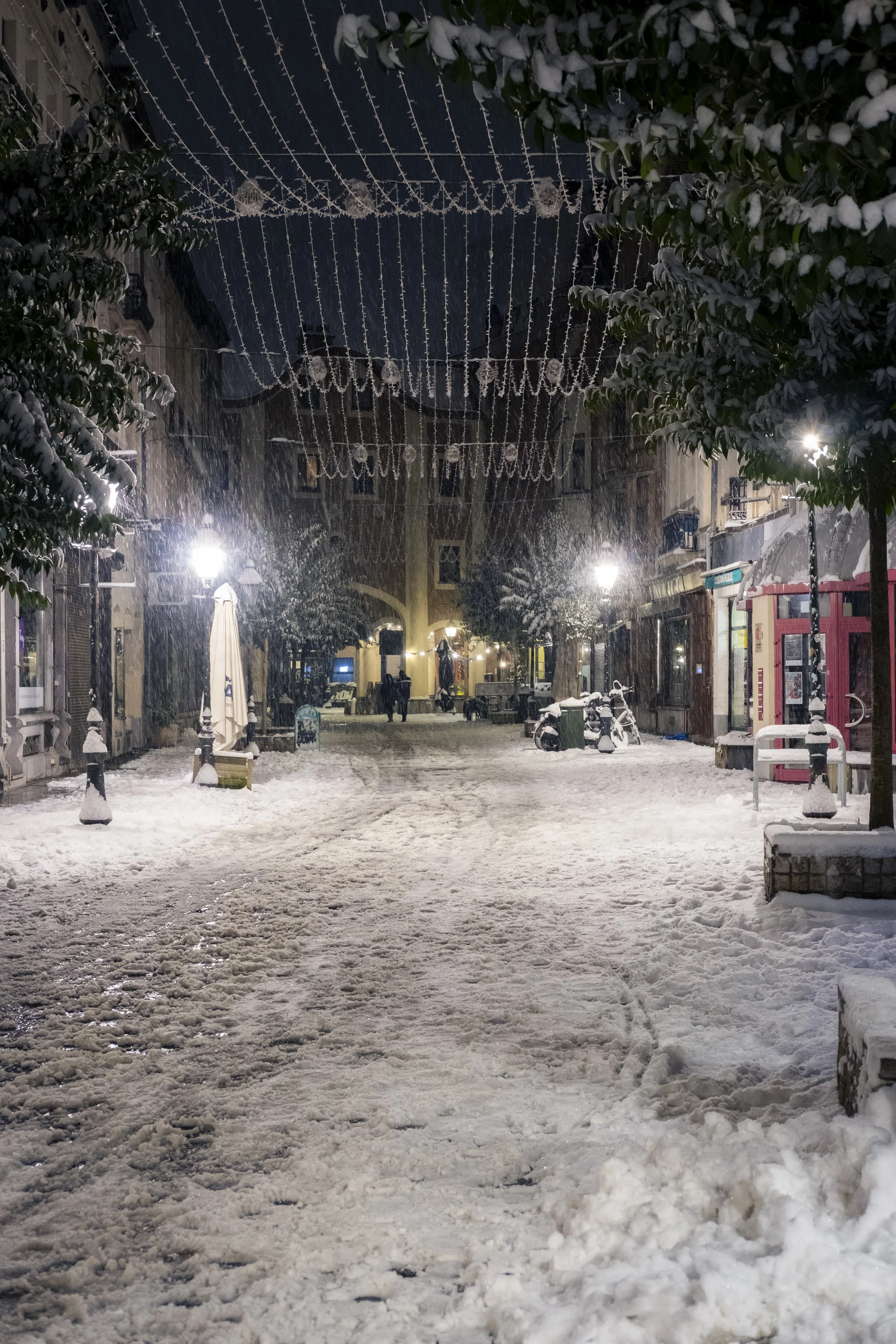 snowy BXL-9356.jpg