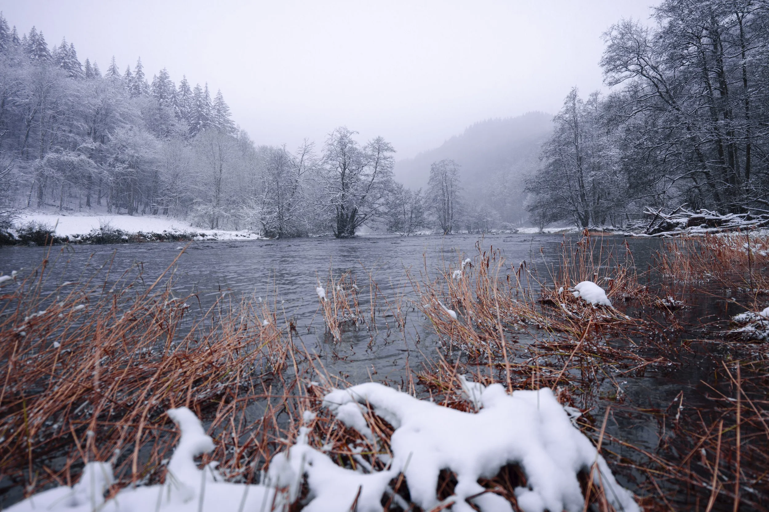 17. a cold winter_0374.jpg