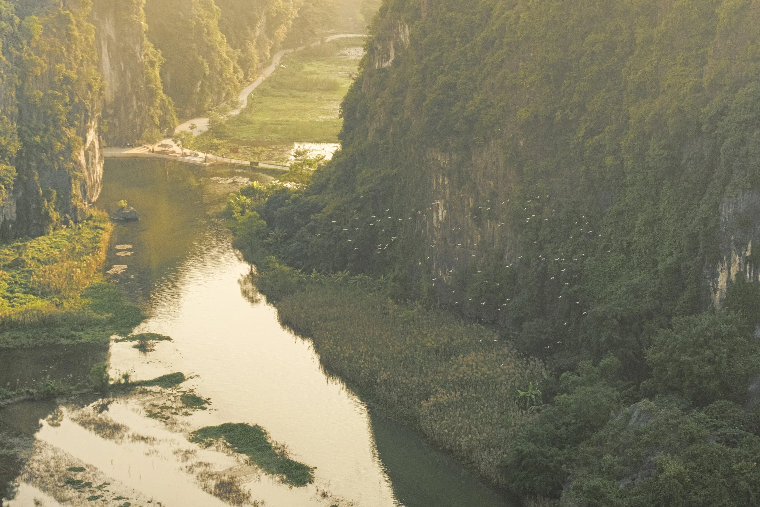 Ninh Binh, Vietnam-6.jpg