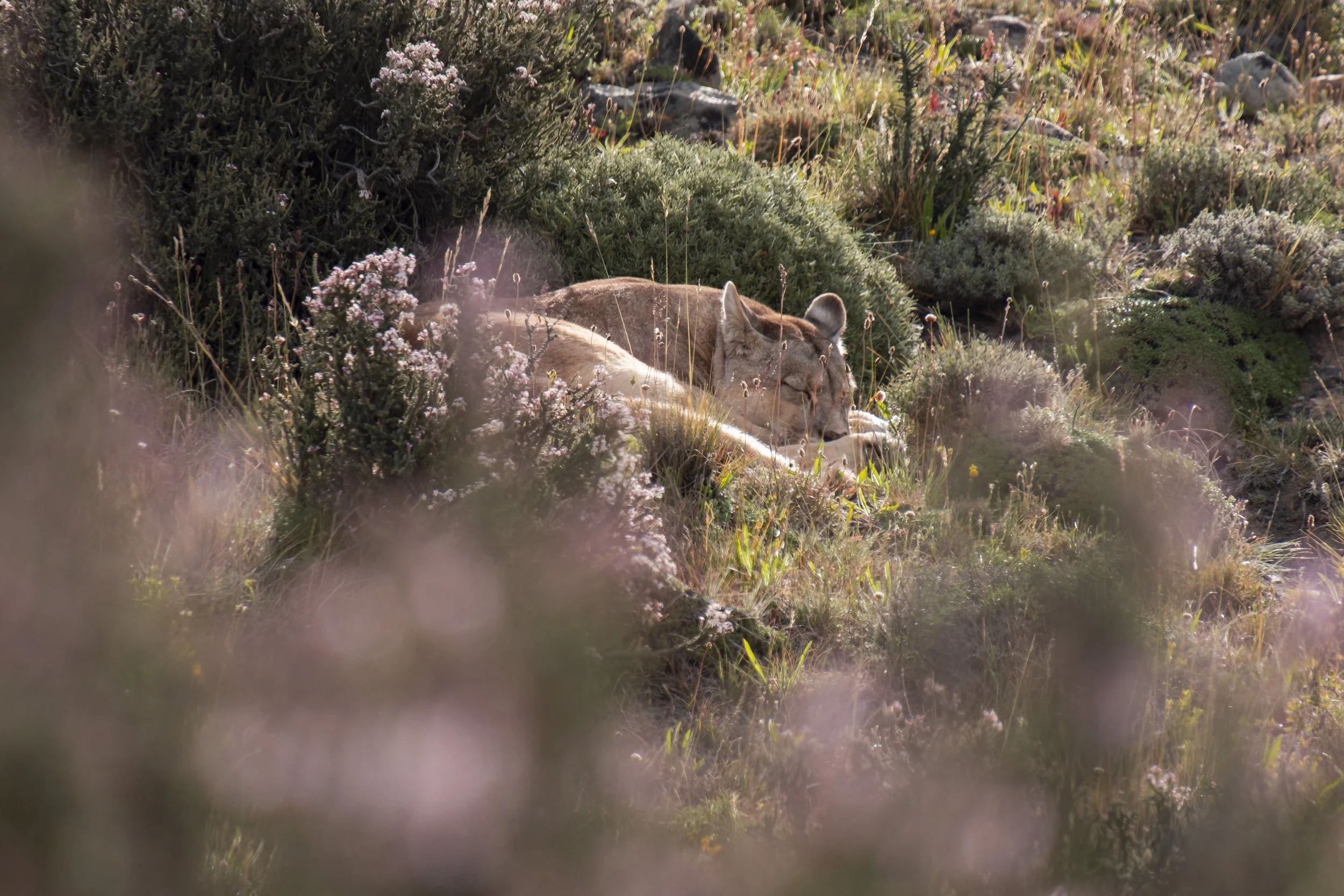 Light_JASPER_Boydens_A Force That Sleeps2.jpg