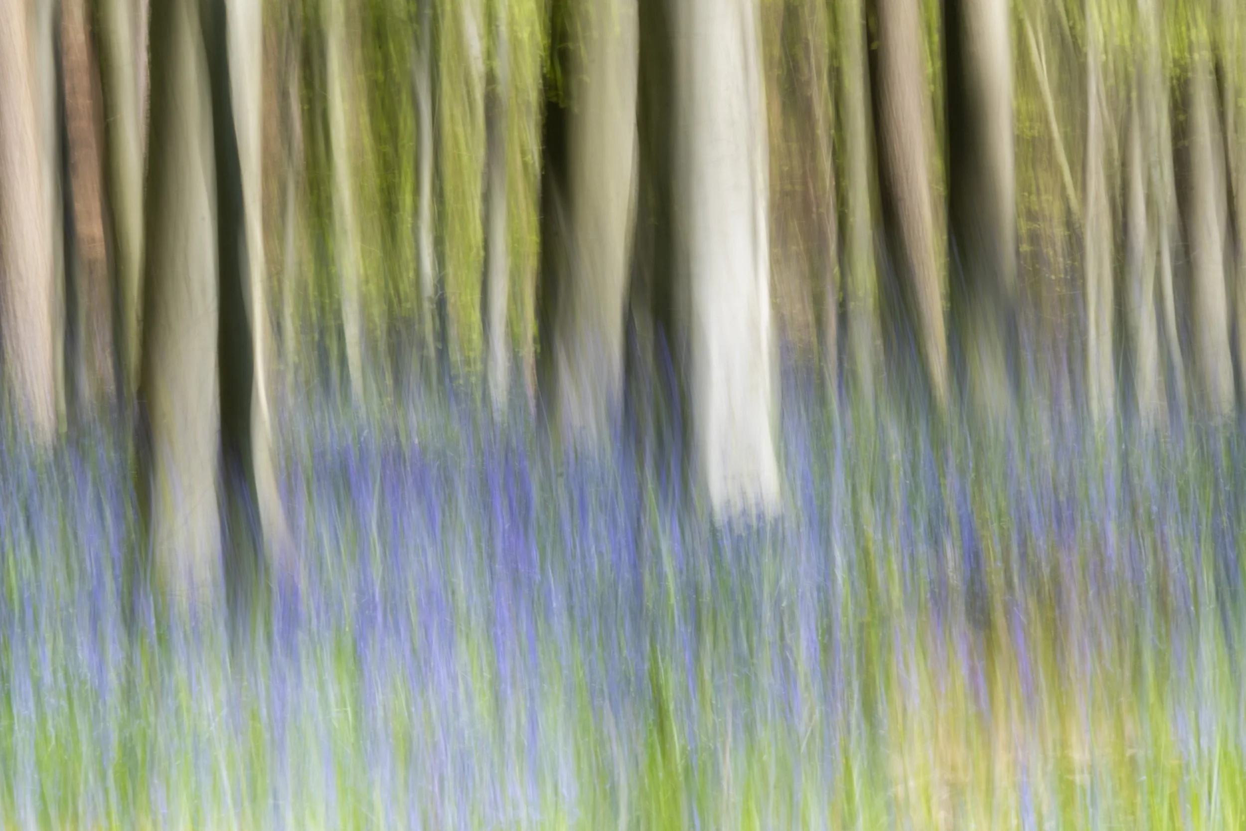 23. Bluebell Painting.jpg
