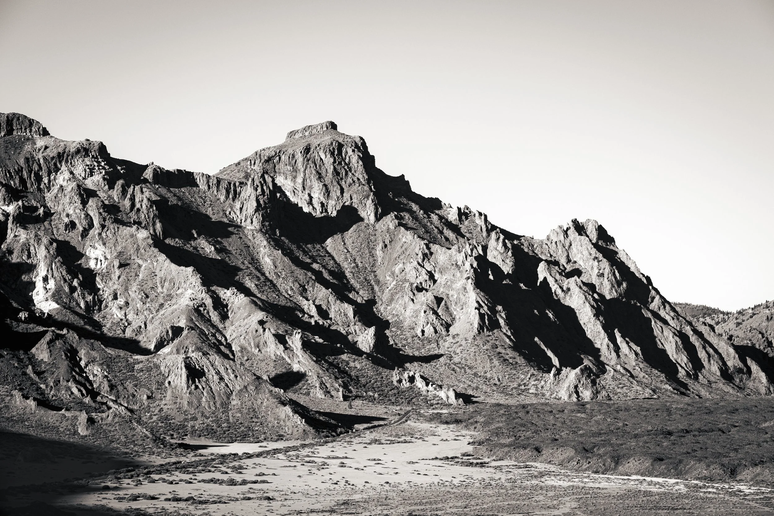 Black&White-7092.jpg