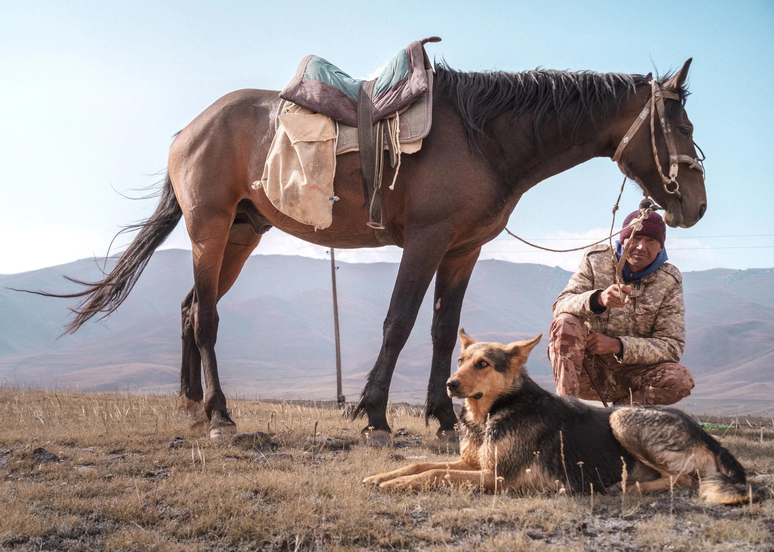 the shepherd-2.jpg