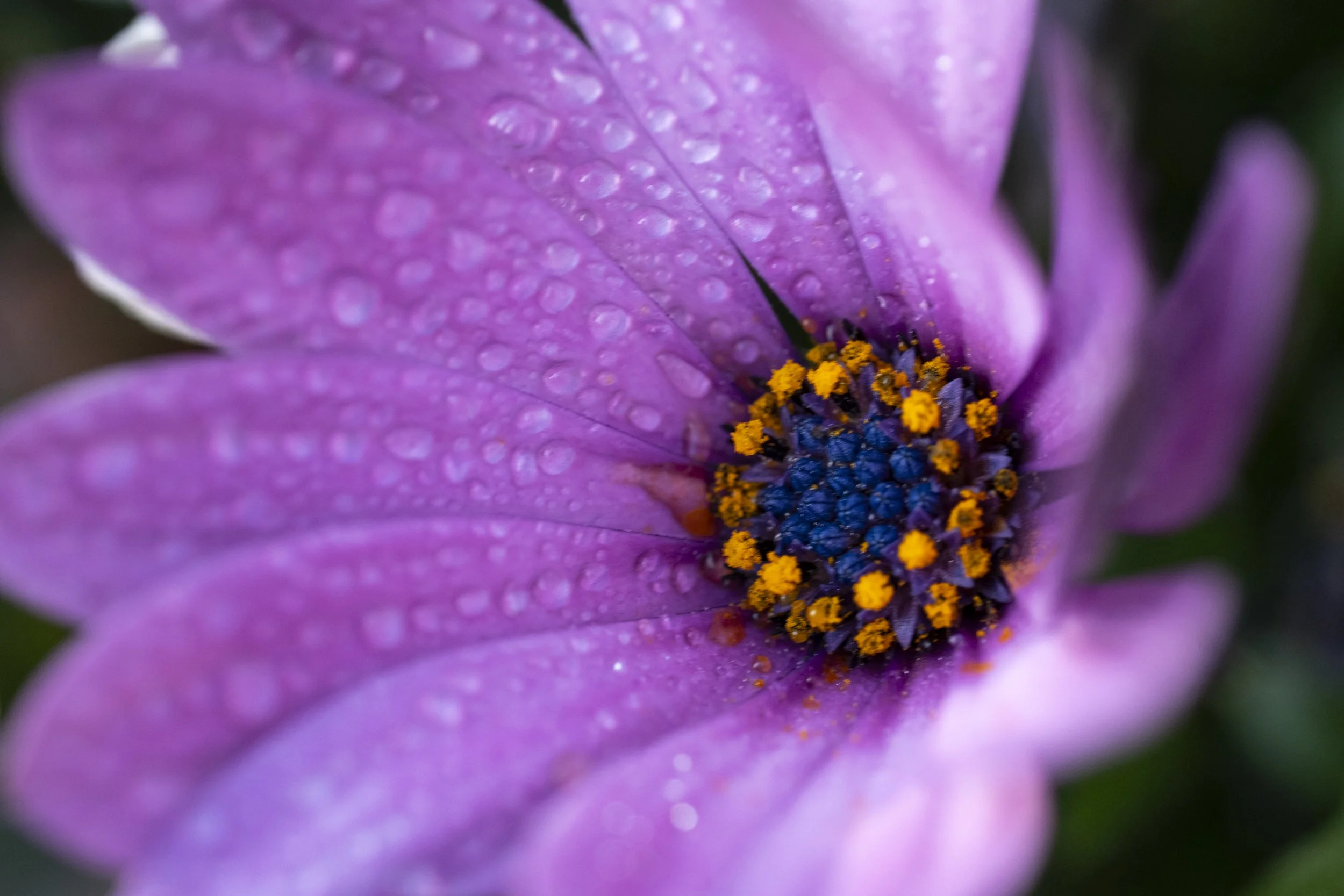 untitled-5288.jpg