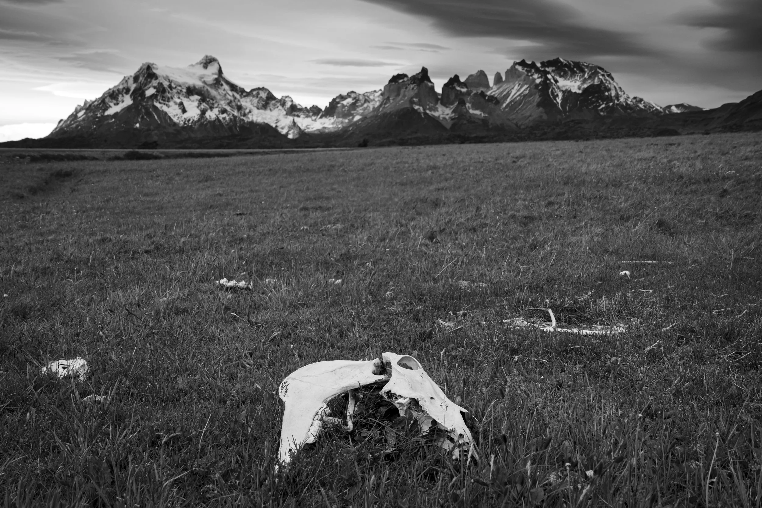 Black&White-4936.jpg