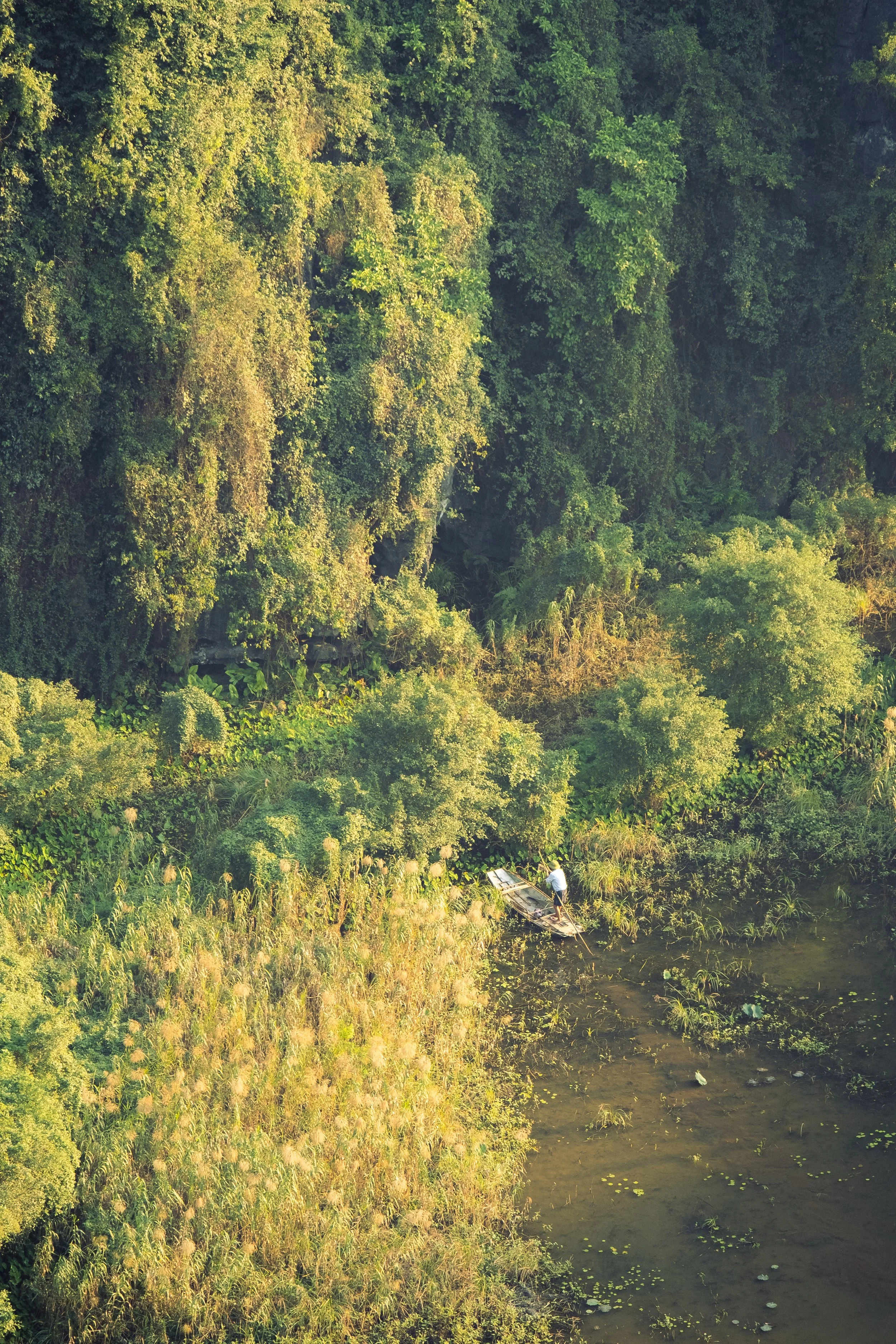 Ninh Binh, Vietnam.jpg