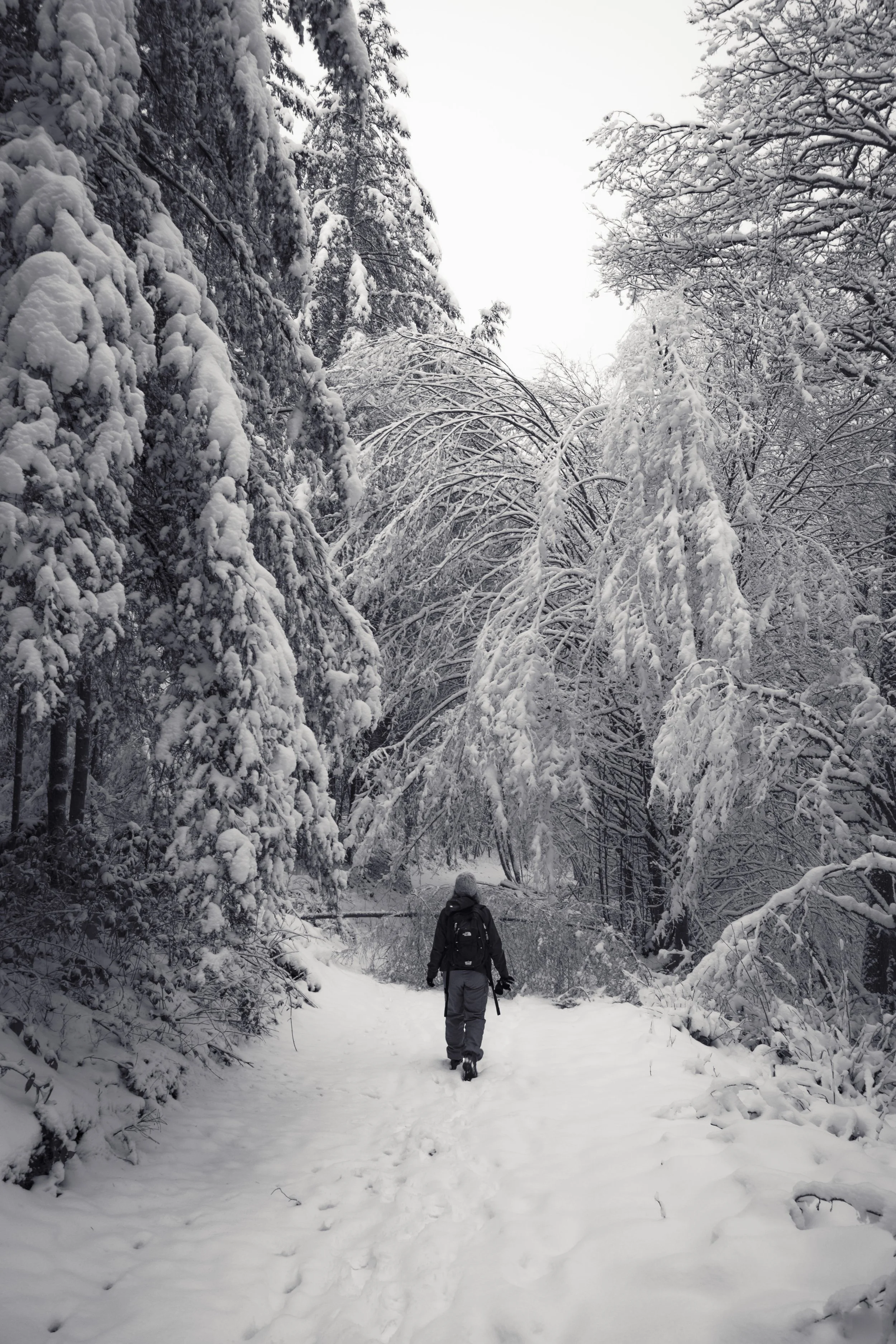 een poort naar Narnia_remake2-0486.jpg