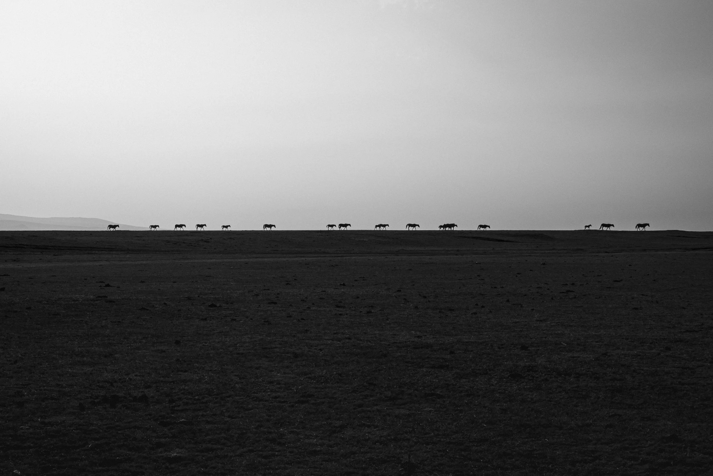 6. The long crossing-9705.jpg