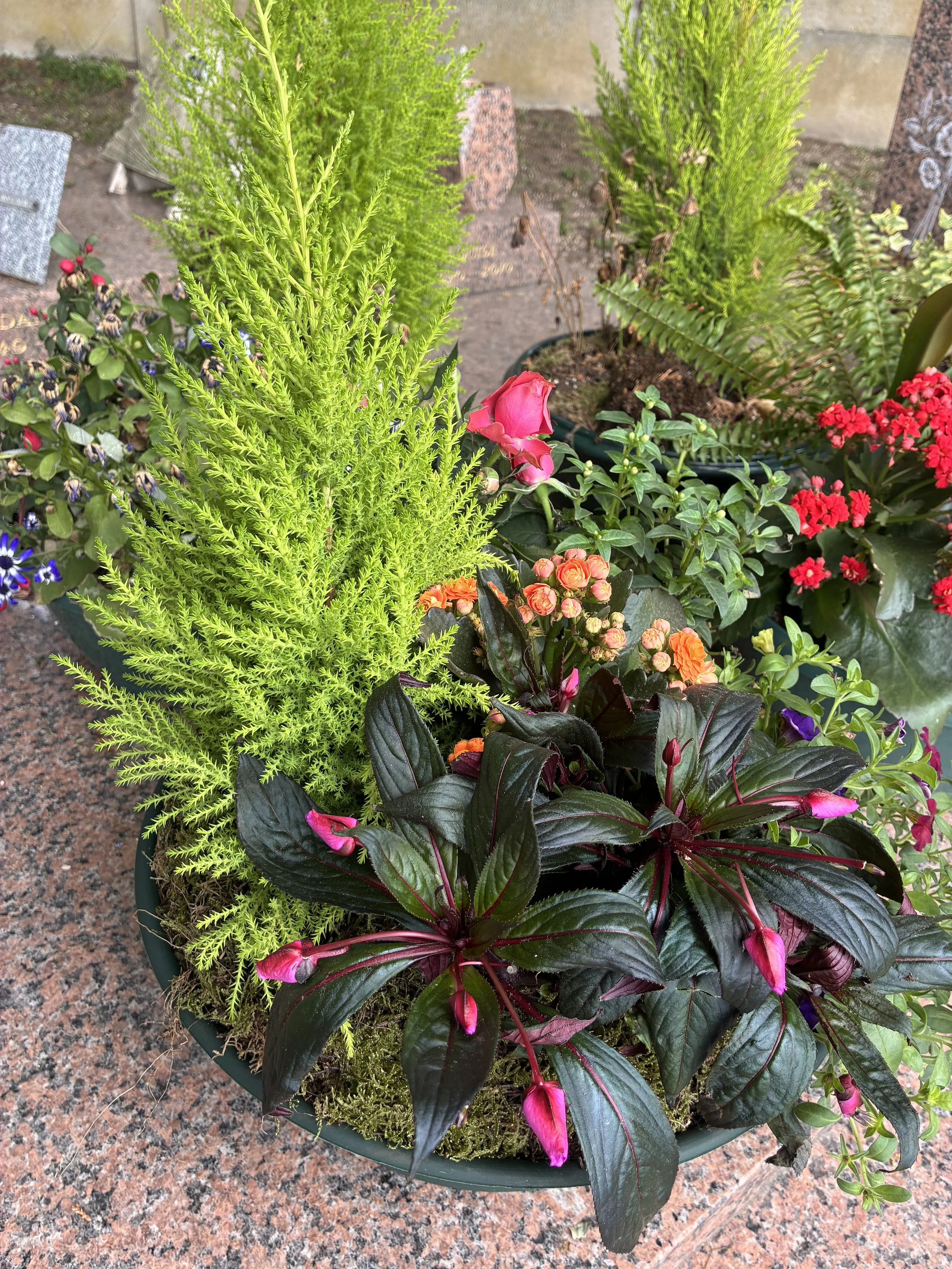 IMG_5850.jpeg