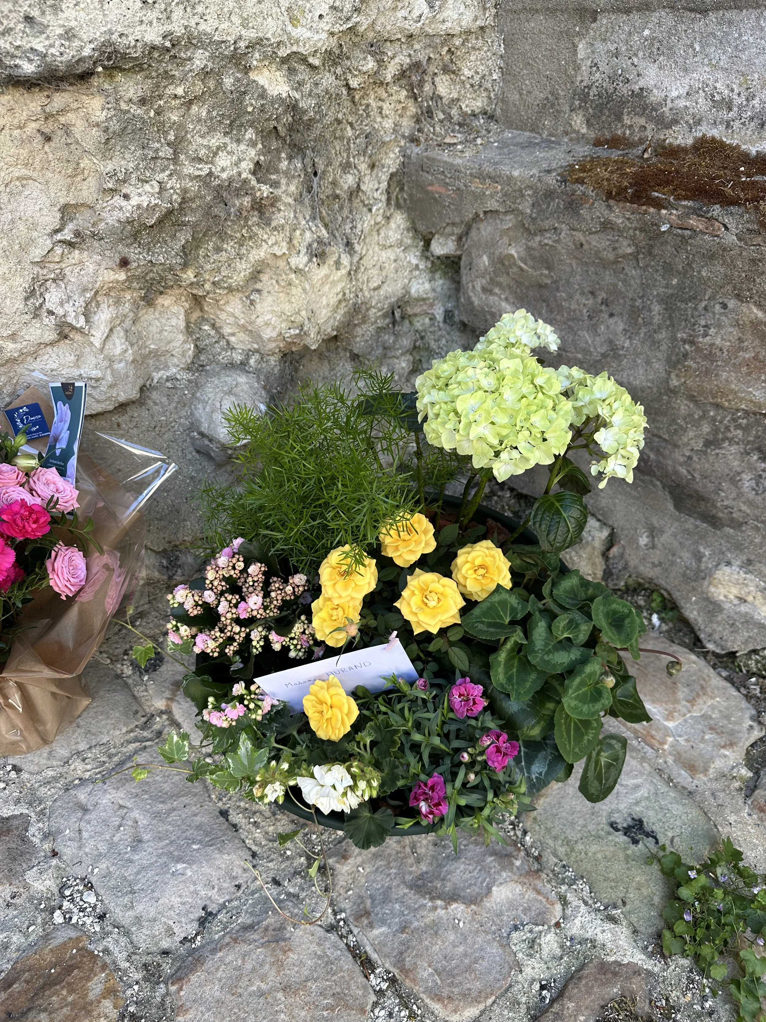 Composition de plantes deuil