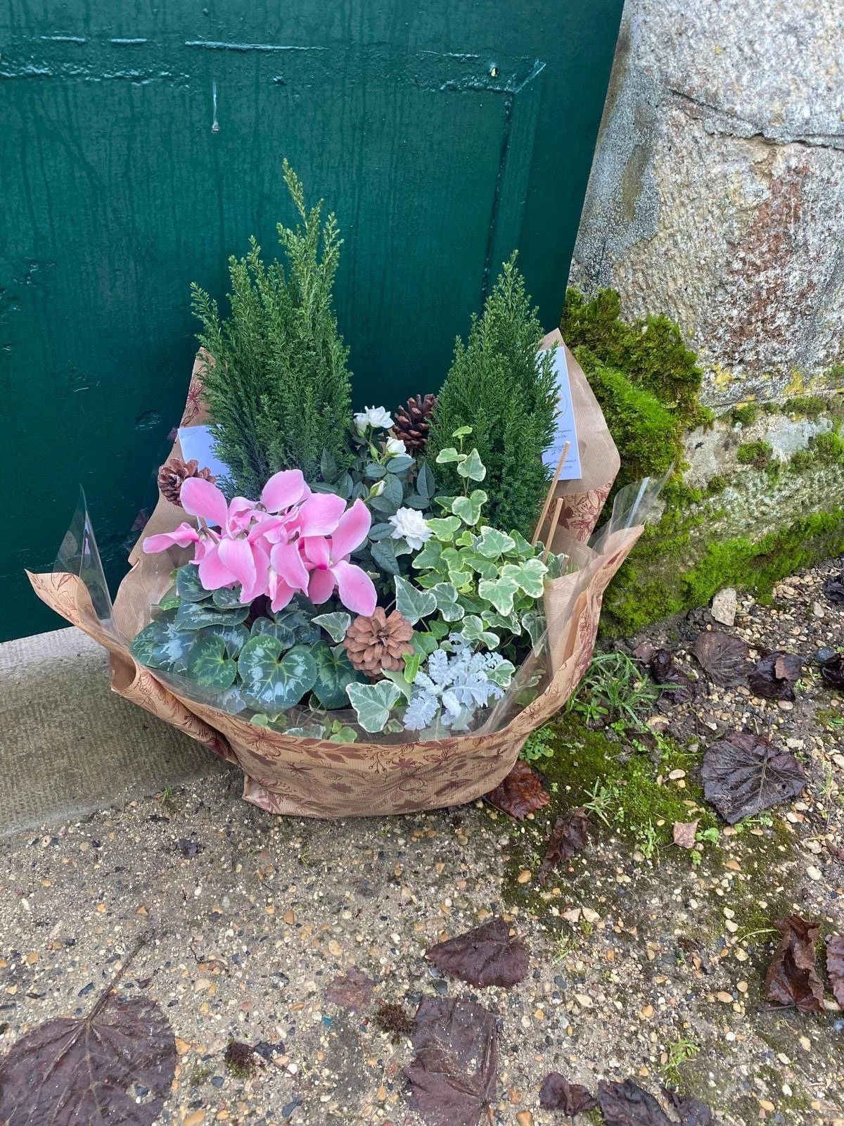Nos compositions de plantes