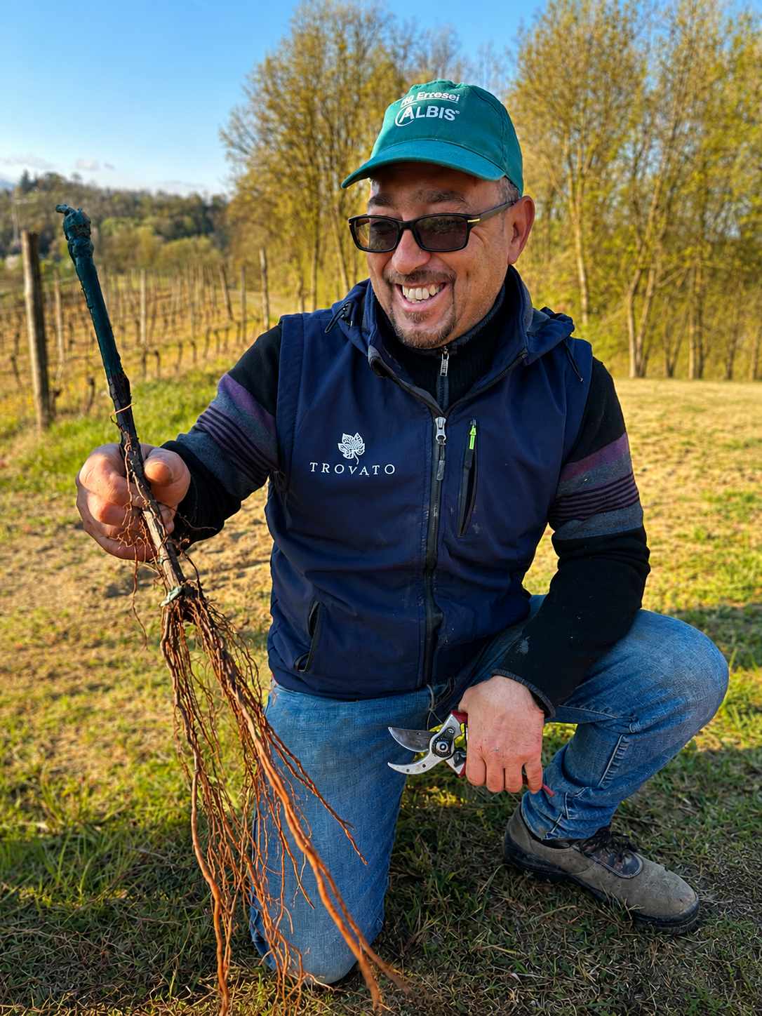 Uomo sorridente in un campo con vigneti, che tiene una pianta di vite con radici esposte, indossa un cappello e occhiali da sole.