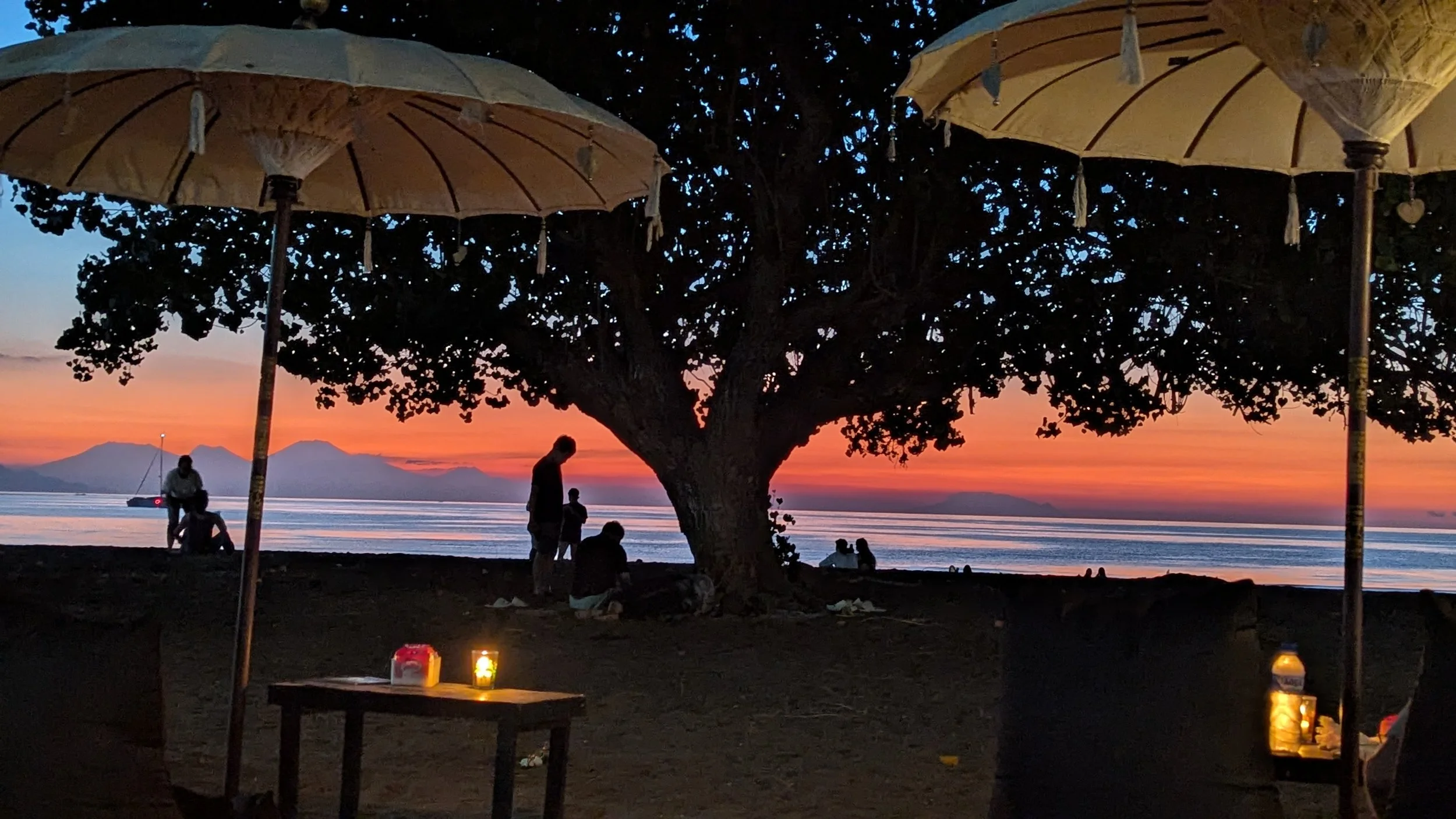 Beautiful Lovina Beach sunset beneath the famous beachfront tree