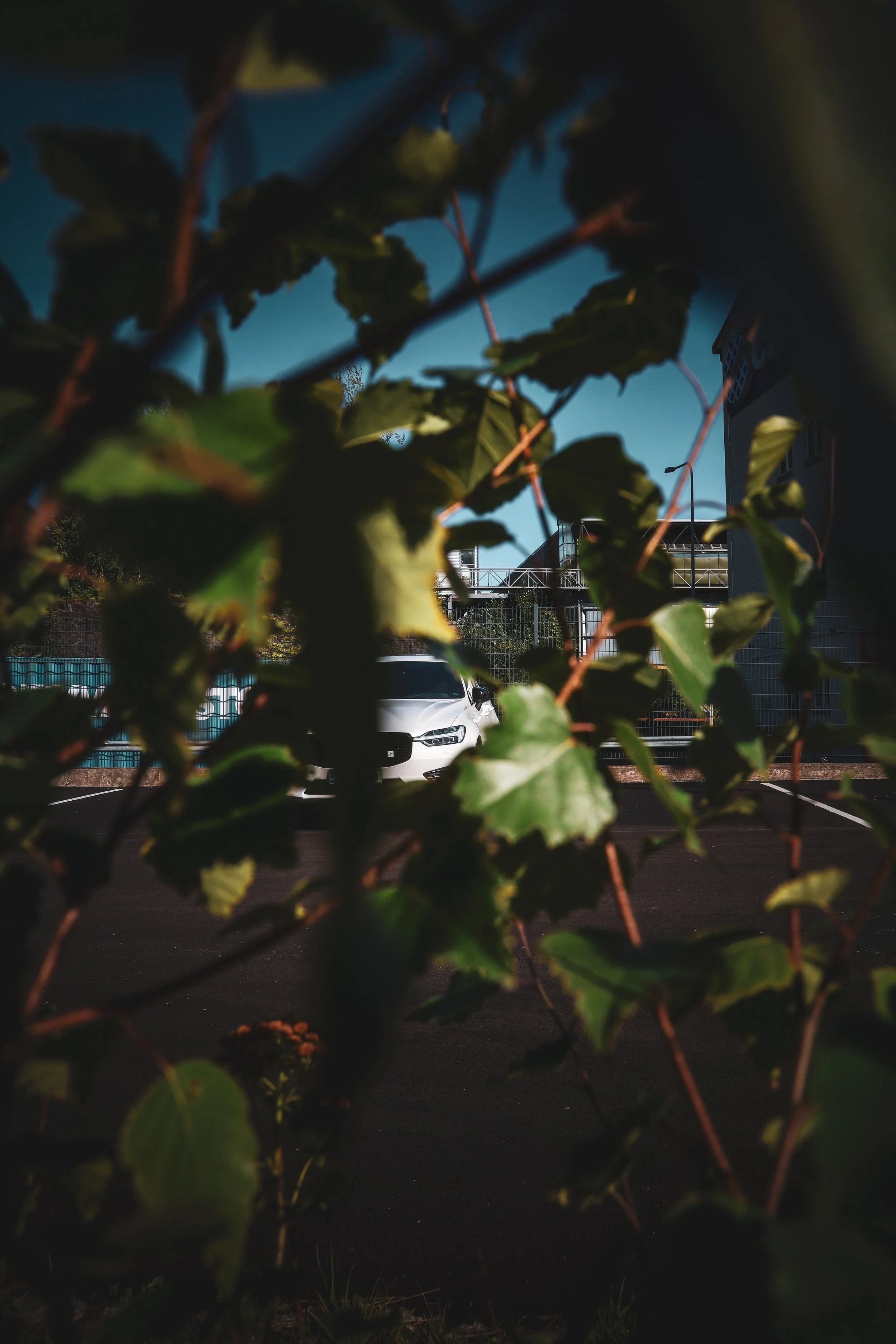 White Volvo XC40 photographed though the leaves of a bush in Helsinki by Annika TheVolvoGirl Miftakhova 