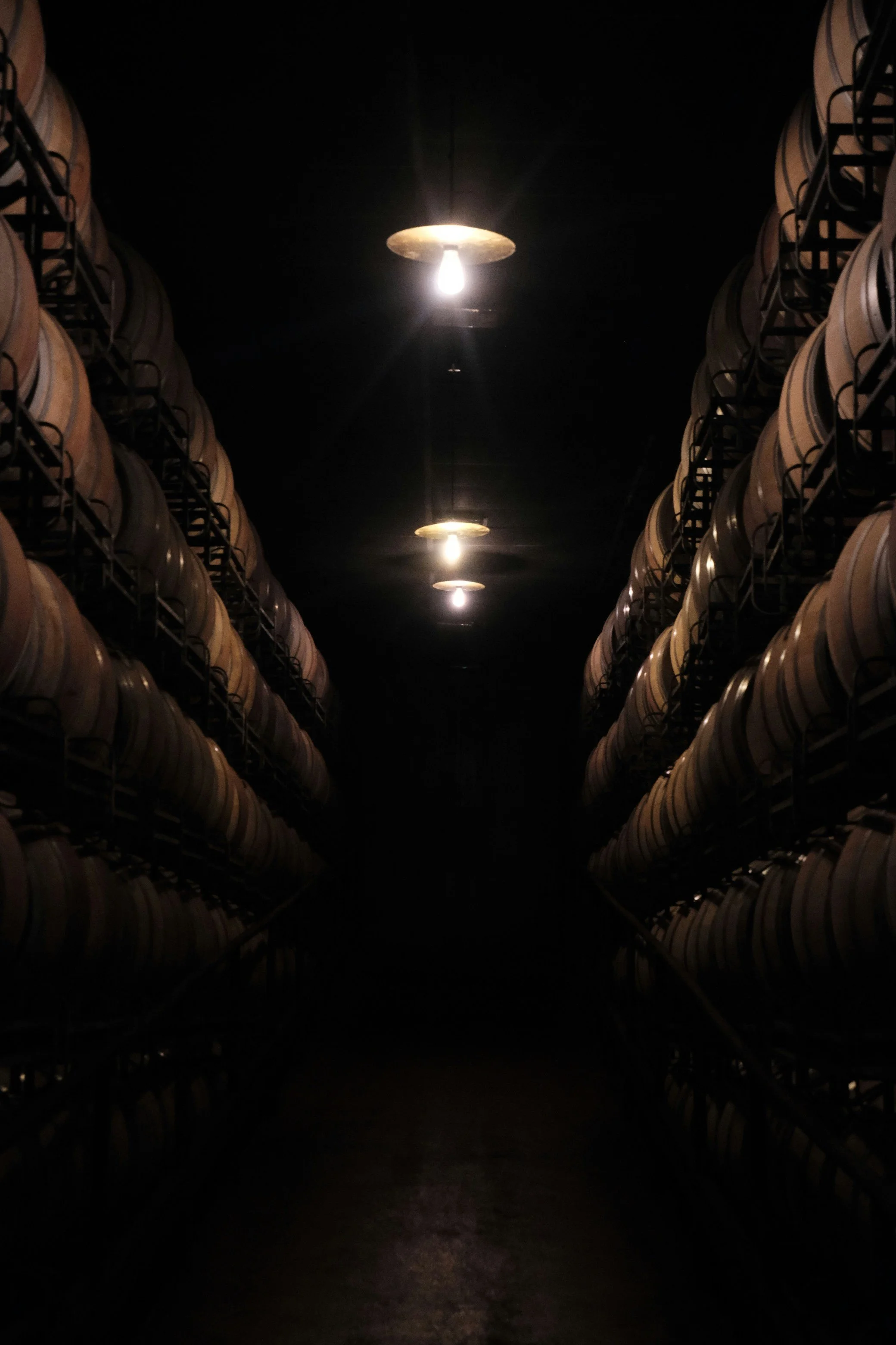 Rows of barrels stored on metal racks in a dark cellar illuminated by ceiling lights.