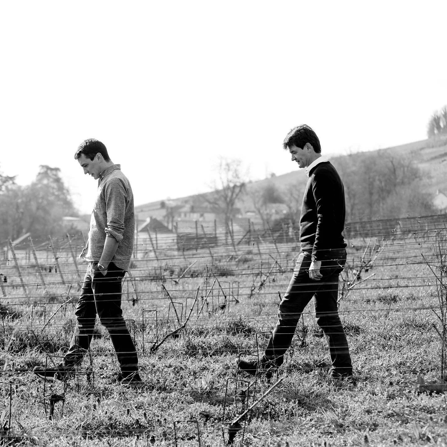 Two young men walking through a vineyard, large field, distant houses, and trees, in black and white.