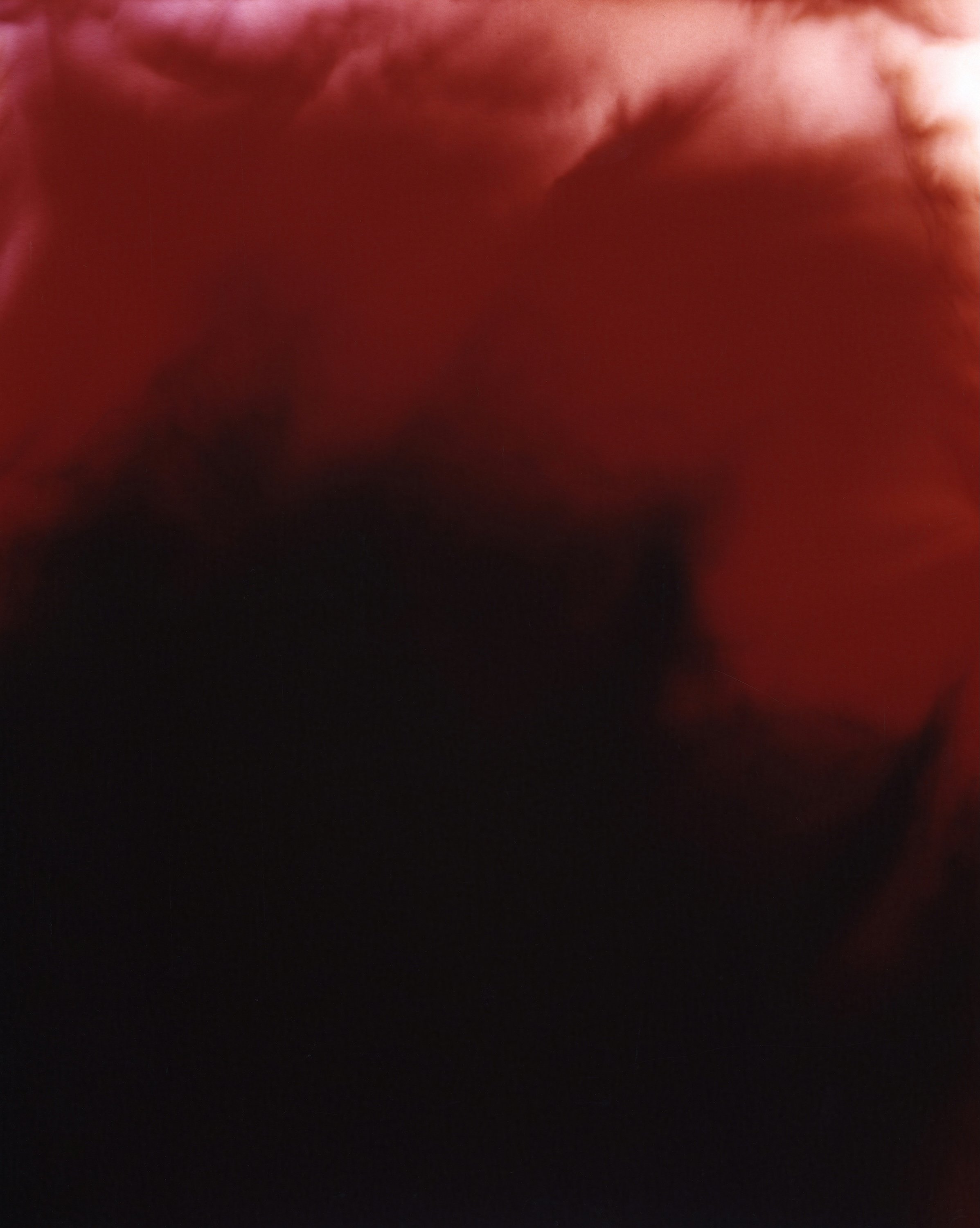 Blurred, close-up image with a mix of dark red and black colors.
