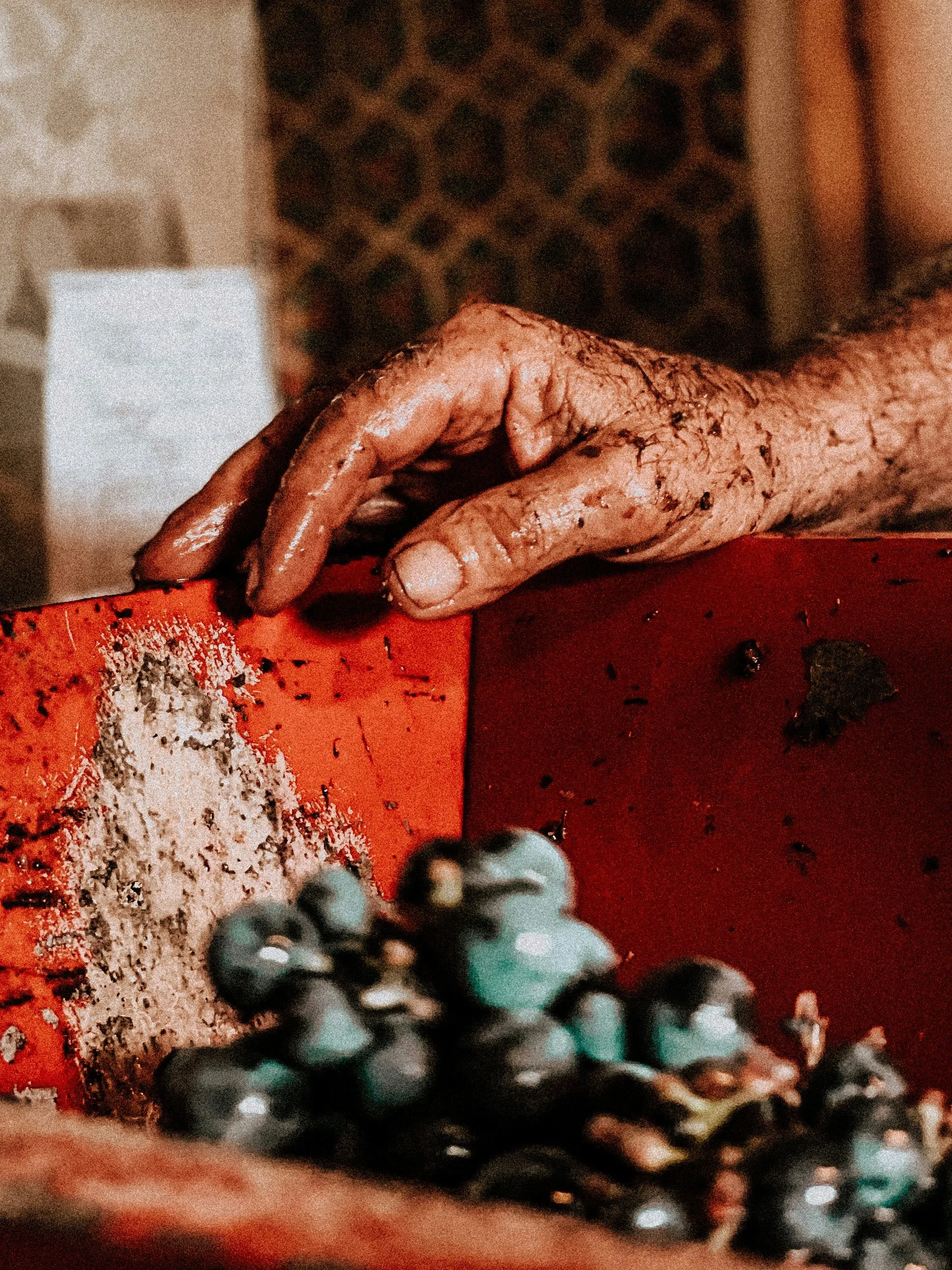 Close-up of a hand with dirt and grime, resting on a red surface, with blurred blueberries at the bottom of the image and a patterned background.