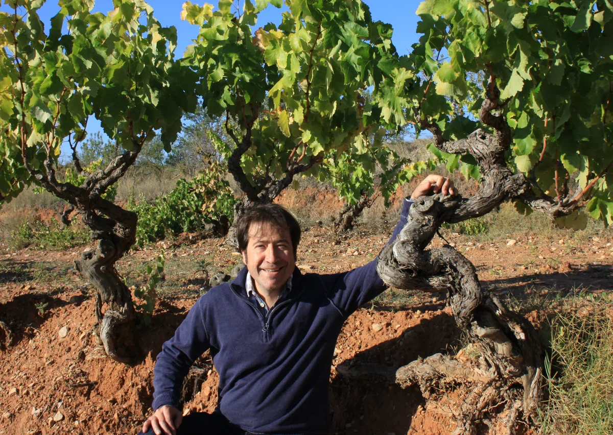 A man smiling and sitting on the ground in a vineyard, holding a tangled vine branch with large green leaves around him.