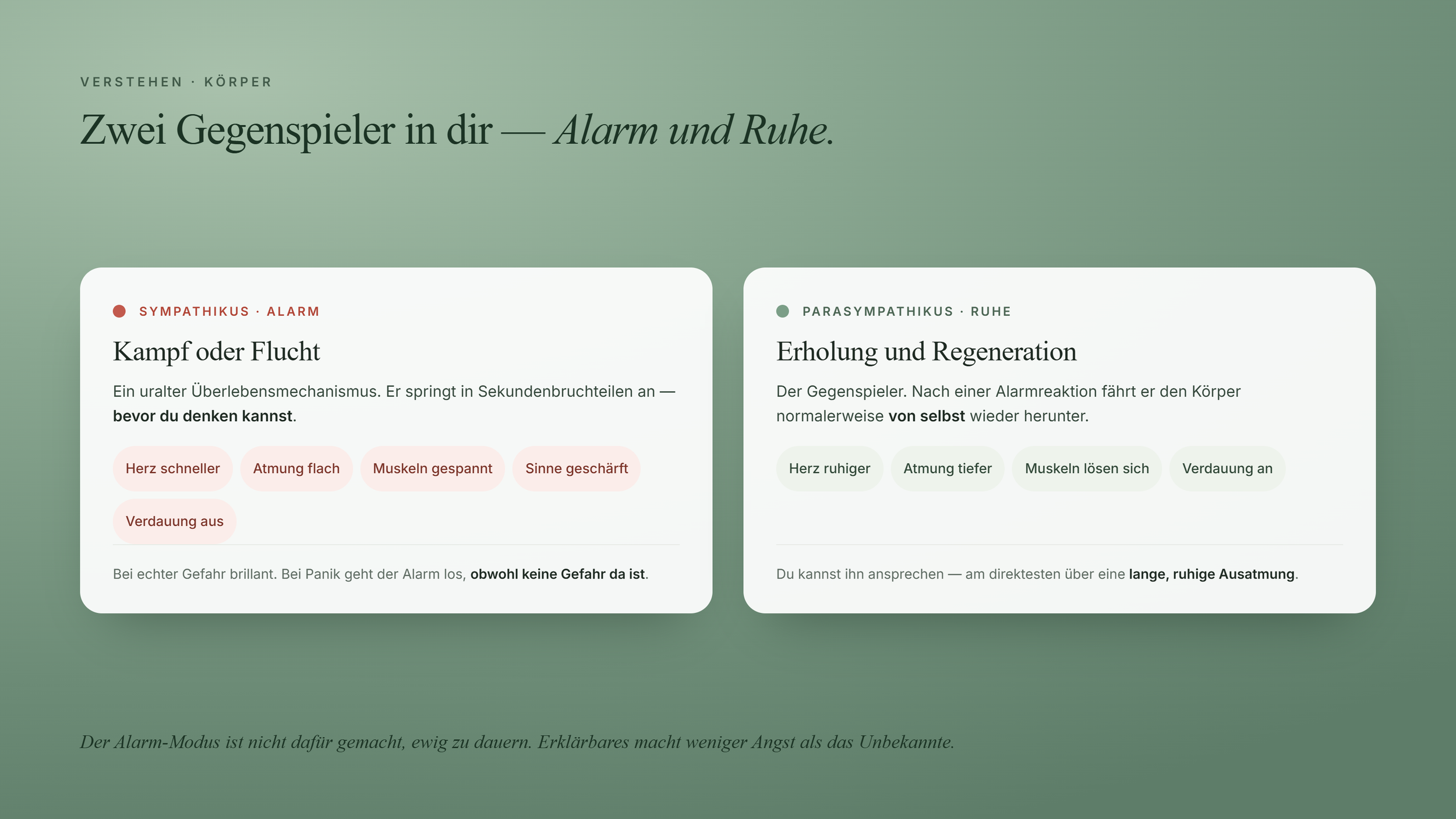 Sympathikus als Alarm-System und Parasympathikus als Ruhe-System im Vergleich.