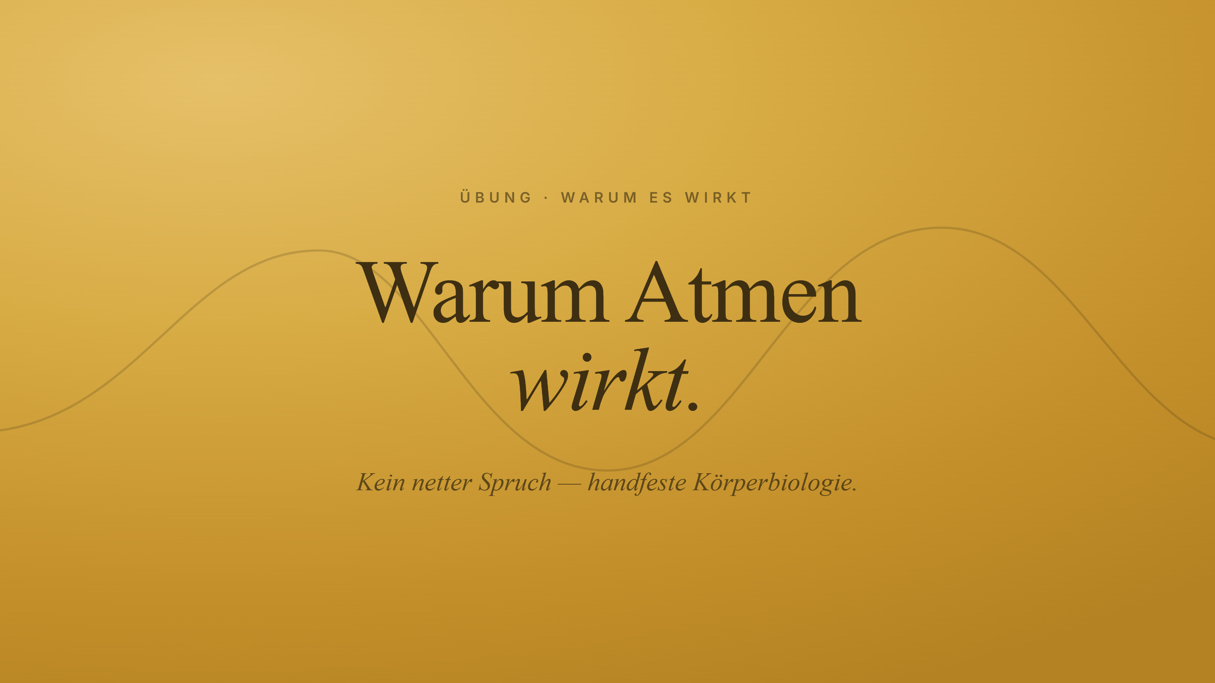 Warum Atmen wirkt – und zwar wirklich