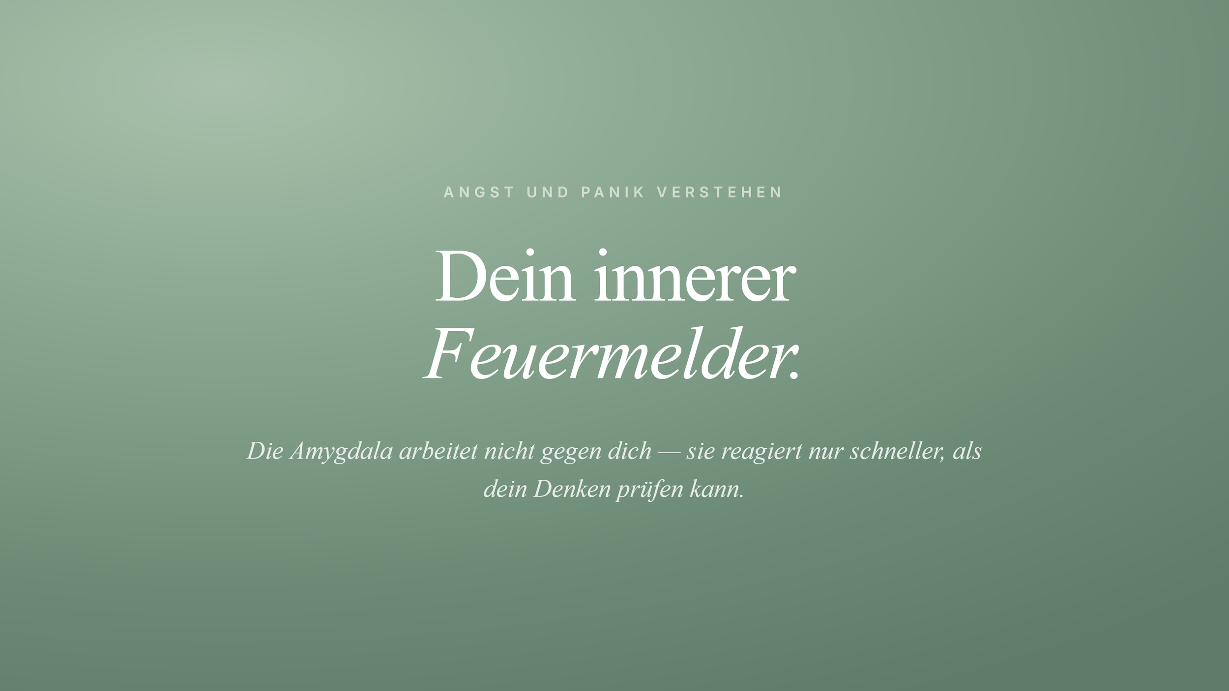 Die Amygdala: Wenn dein innerer Feuermelder Alarm schlägt.