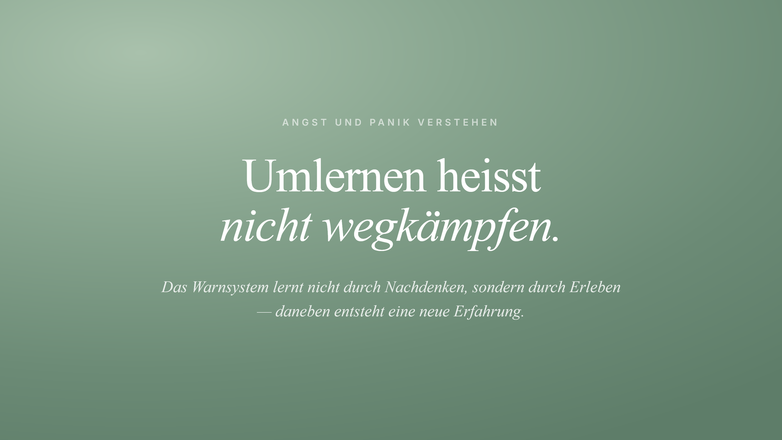 Die Amygdala: Wie das Warnsystem umlernt.
