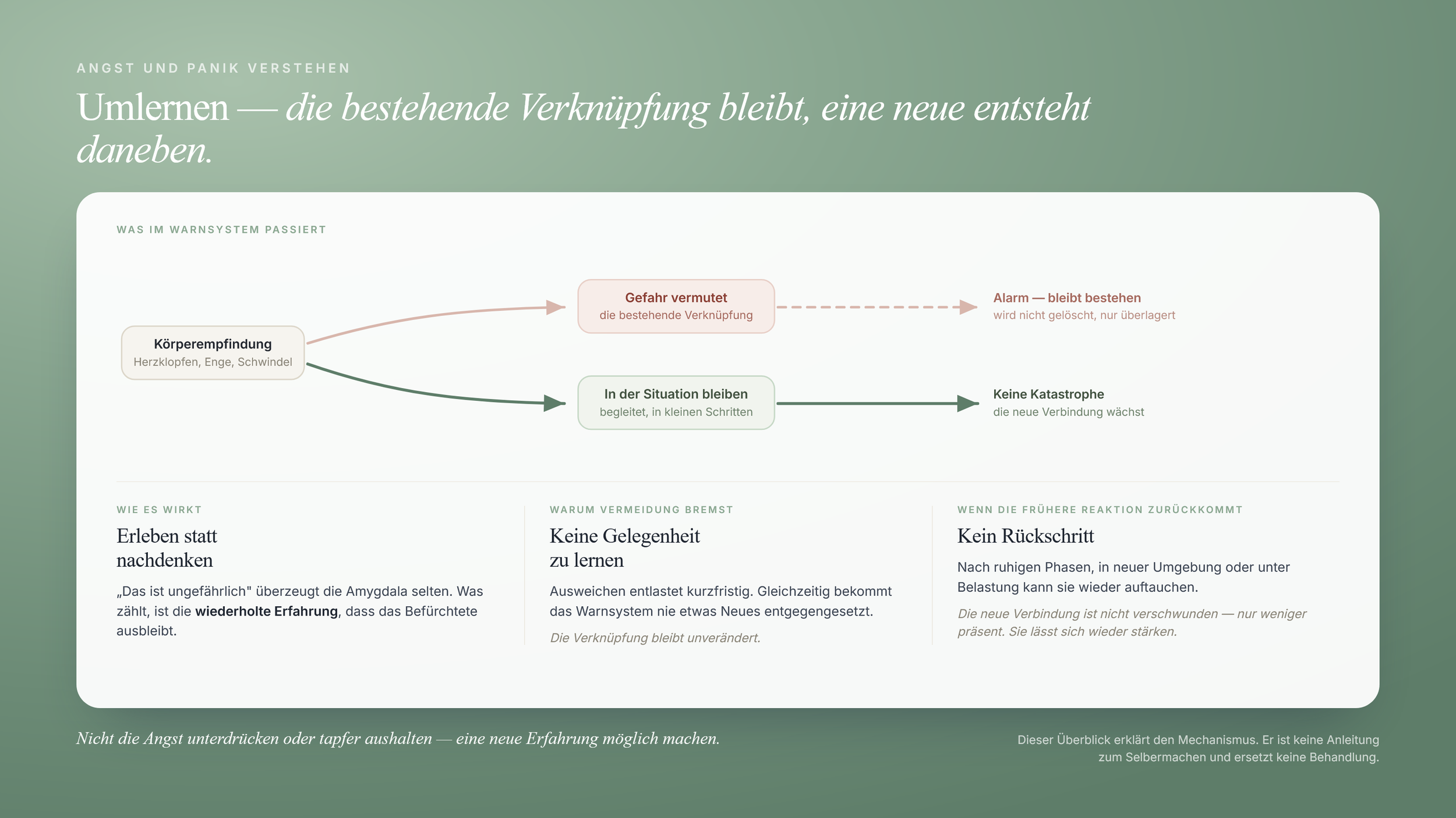 Grafik zum Umlernen mit zwei Routen ab einer Körperempfindung: die eine führt zum bestehenden Alarm, der nur überlagert wird; die andere übers In-der-Situation-Bleiben zu einer neuen Verbindung, die wächst.