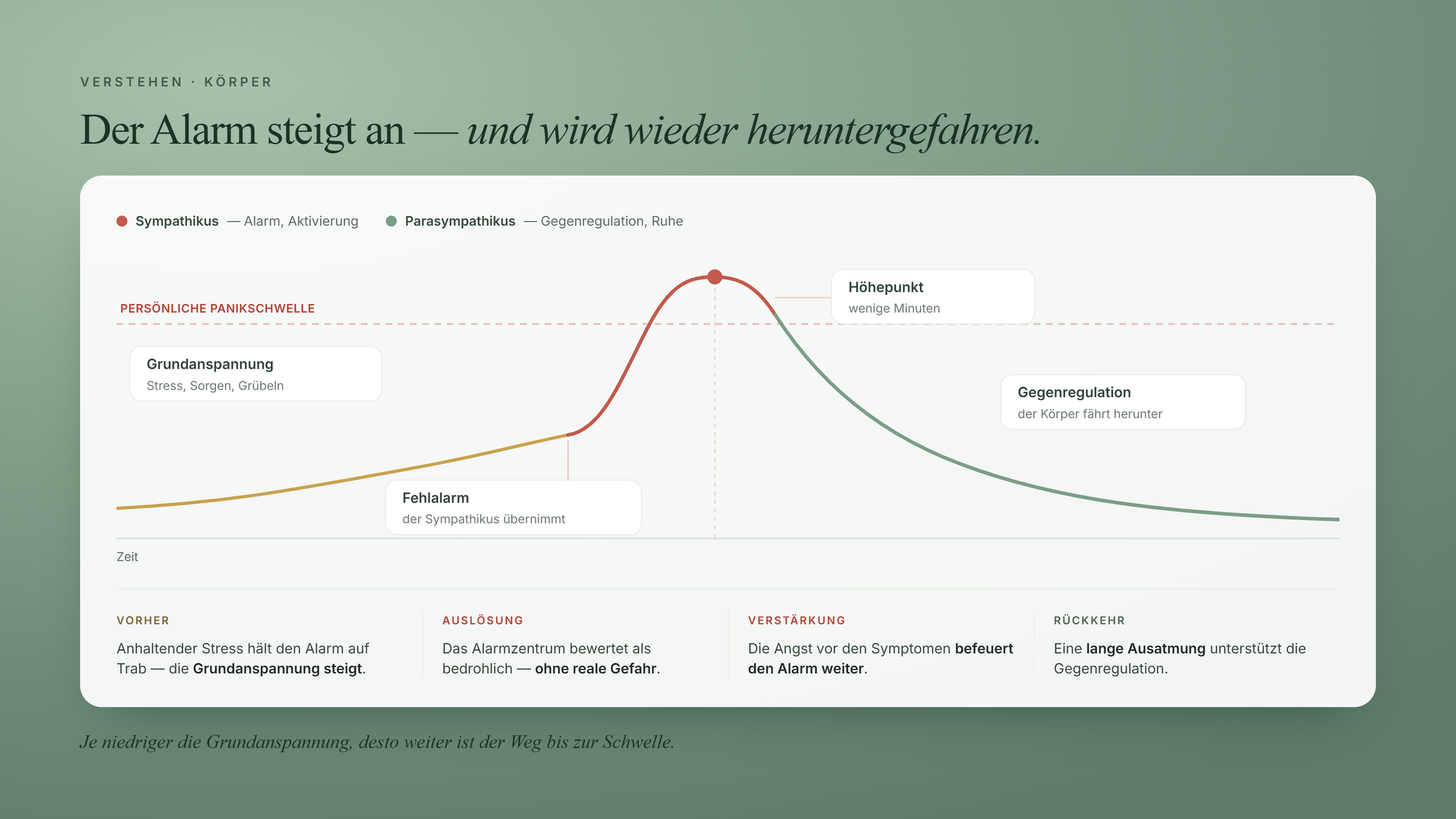 Verlaufskurve einer Panikreaktion: Anstieg über die Panikschwelle zum Höhepunkt und wieder herunter.