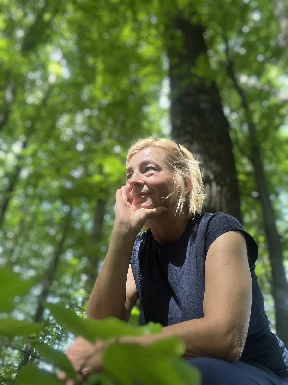 Guided Group Forest Immersion