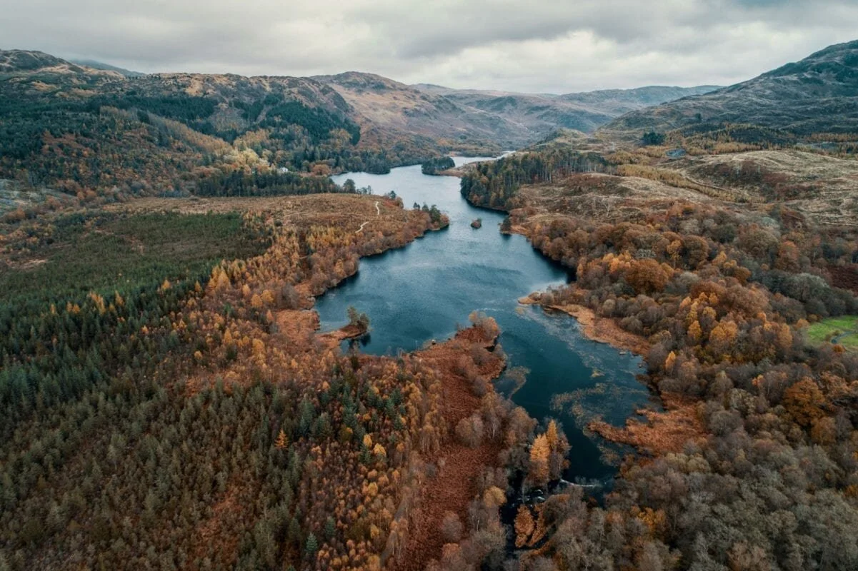 galloway forest park