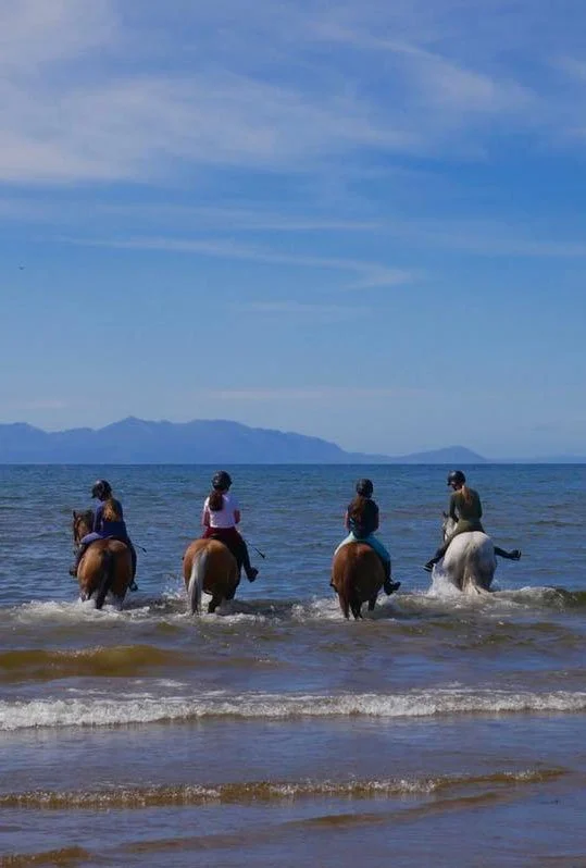 Four people riding horses in the ocean waves near the shore under a blue sky with some clouds and distant mountains.