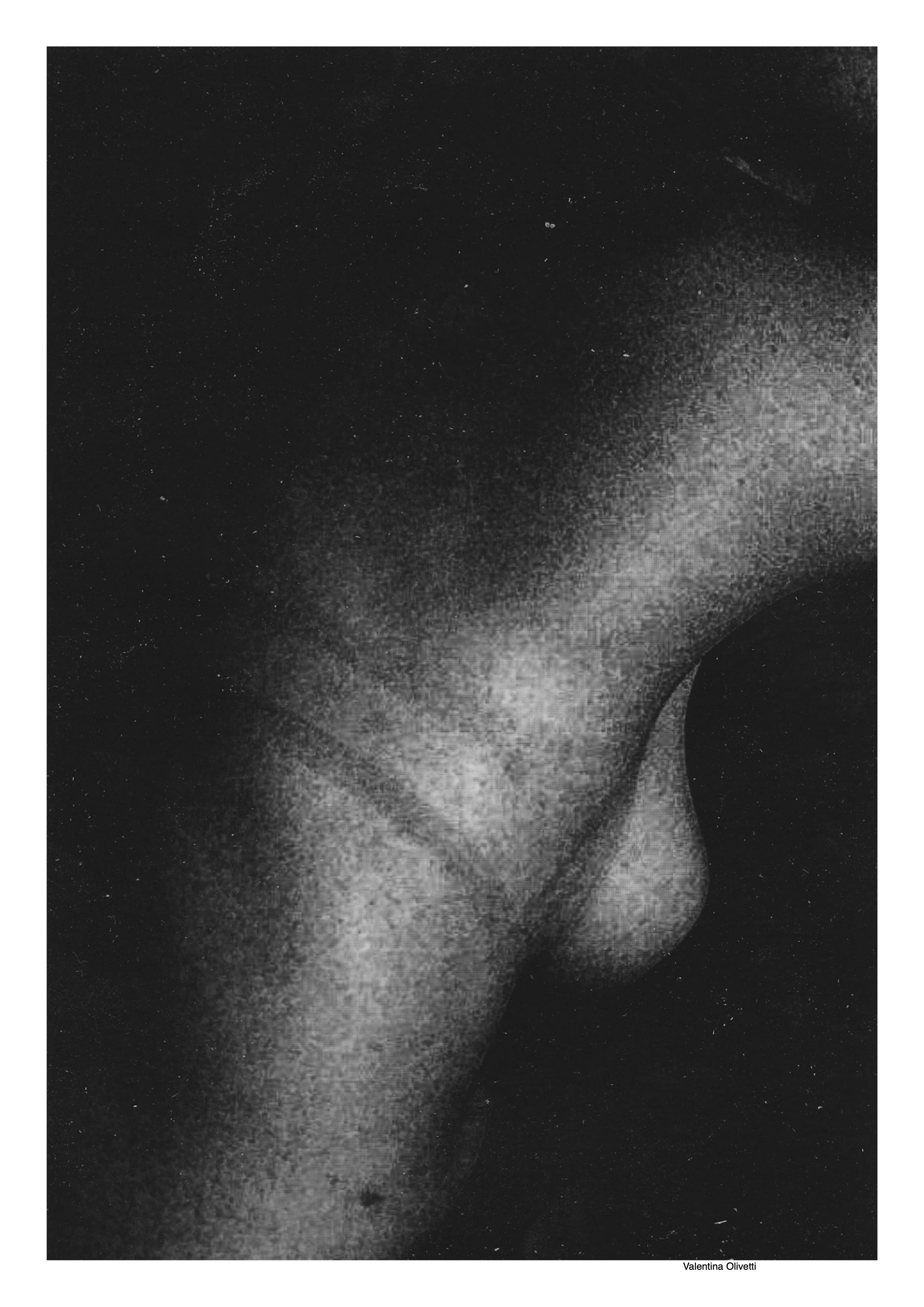 SCHIENA | Editorial Project