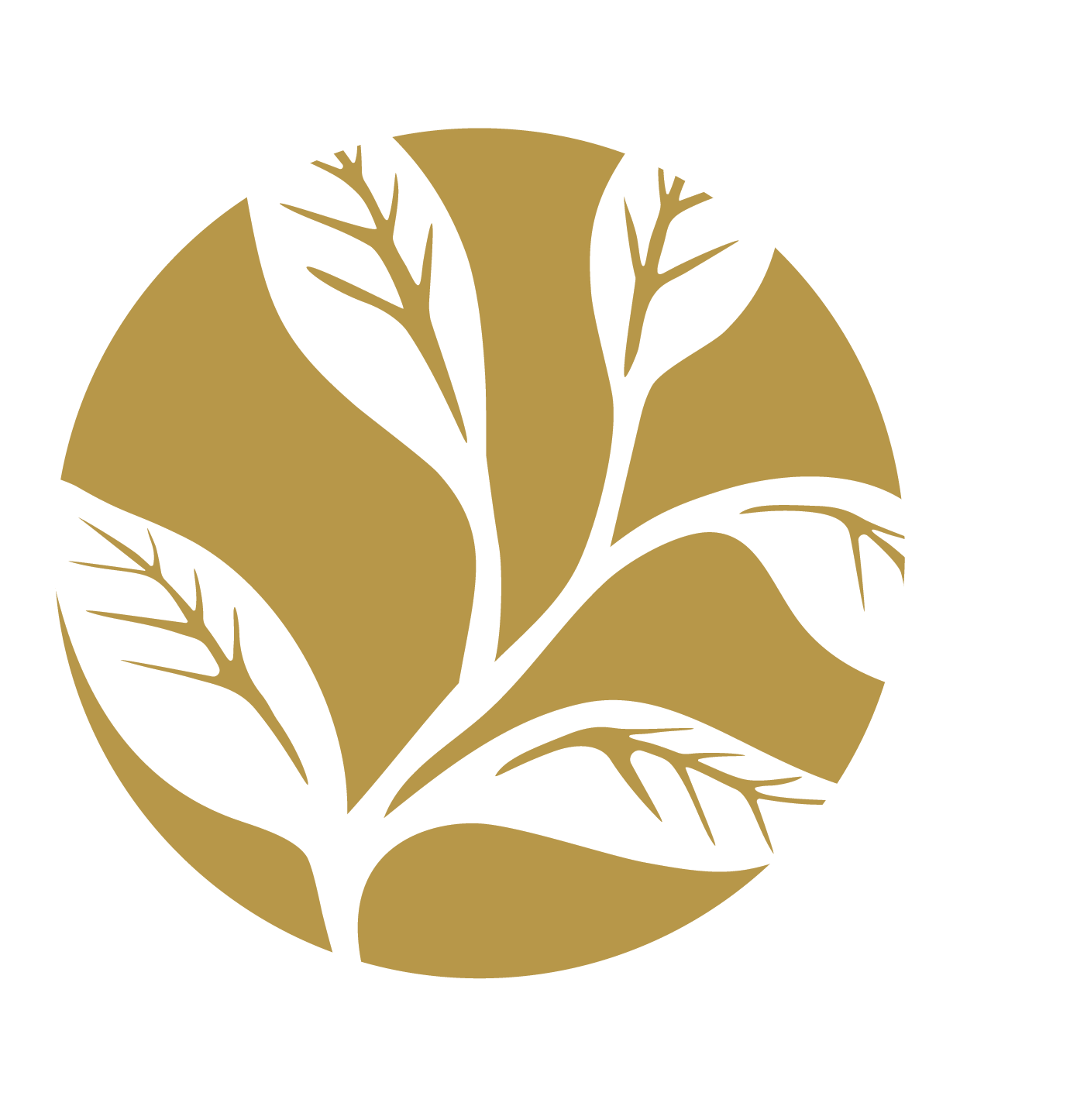 A stylized illustration of a plant with white leaves and black veins, set against a gold circle background.