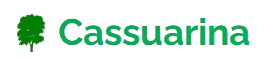 CASSUARINA