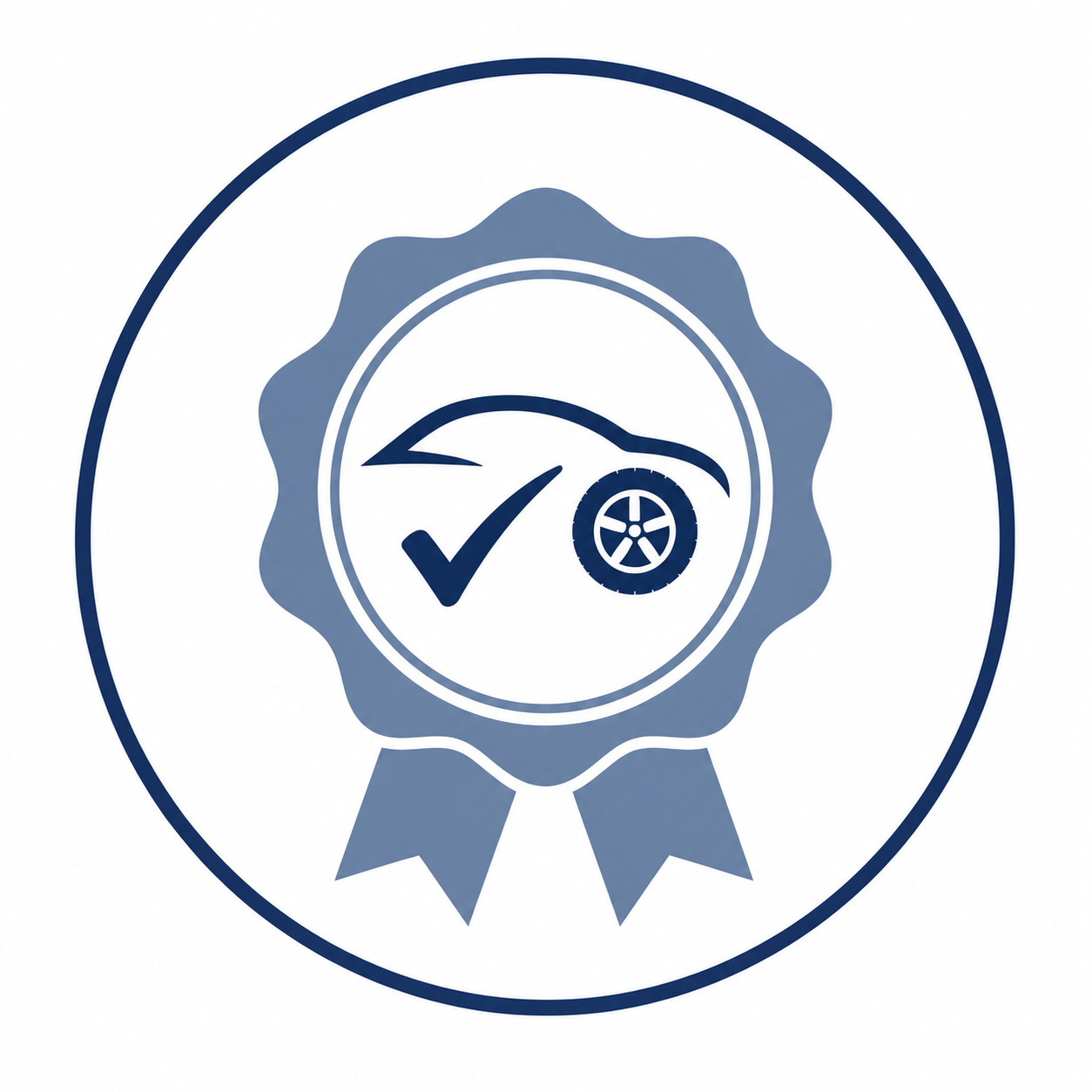 DVSA approved driving instructor