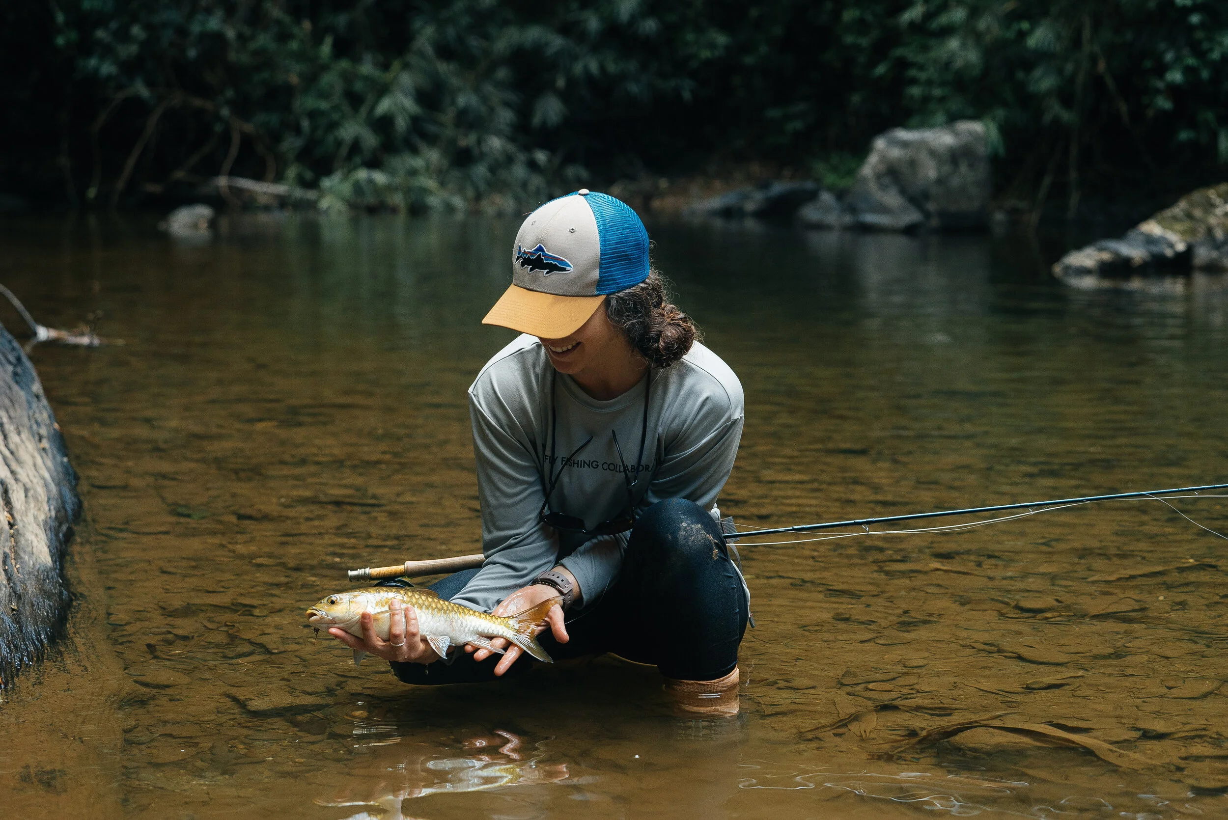 Fly Fishing Collaborative