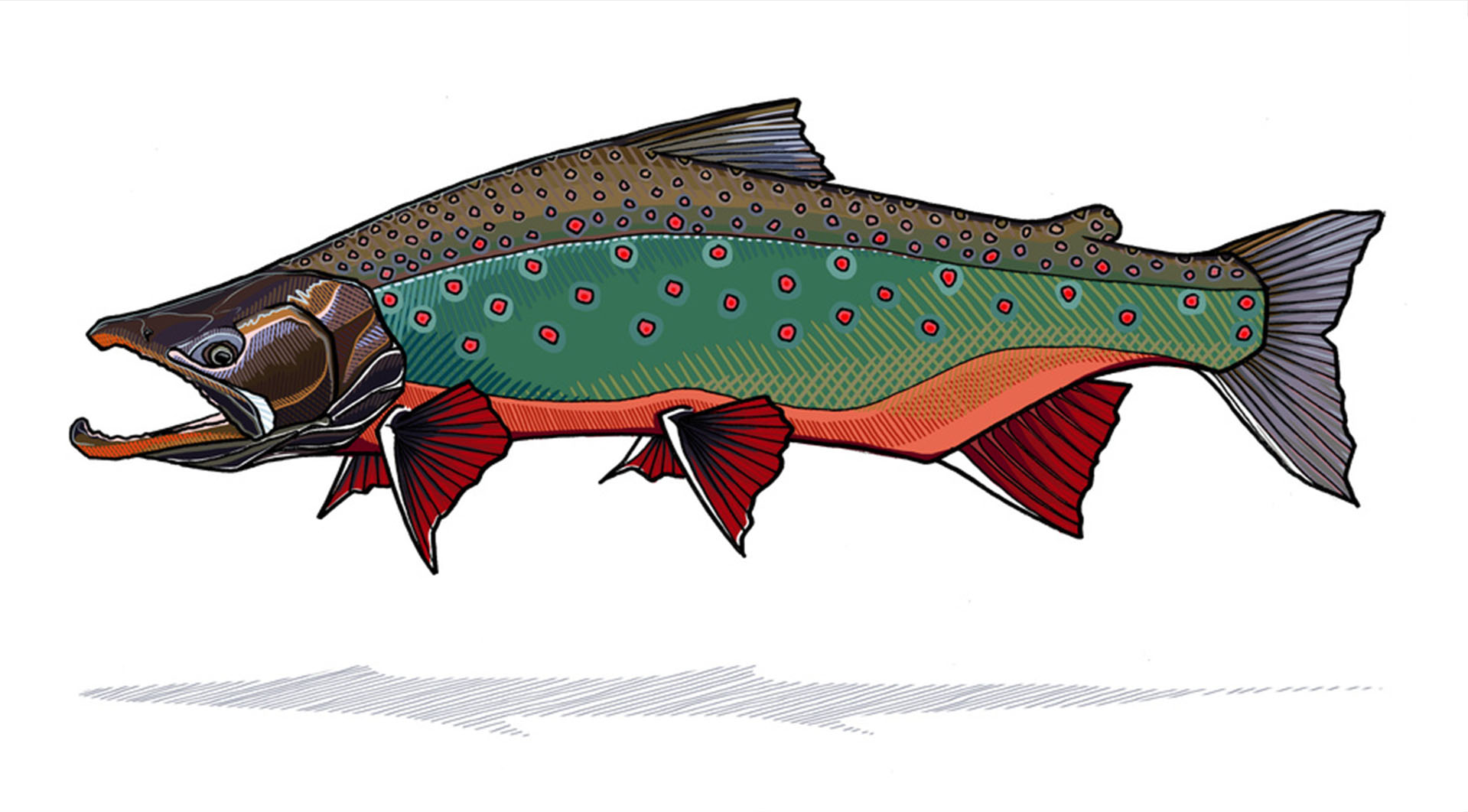 Buy a Fish Print and Help Fund a Farm Today!